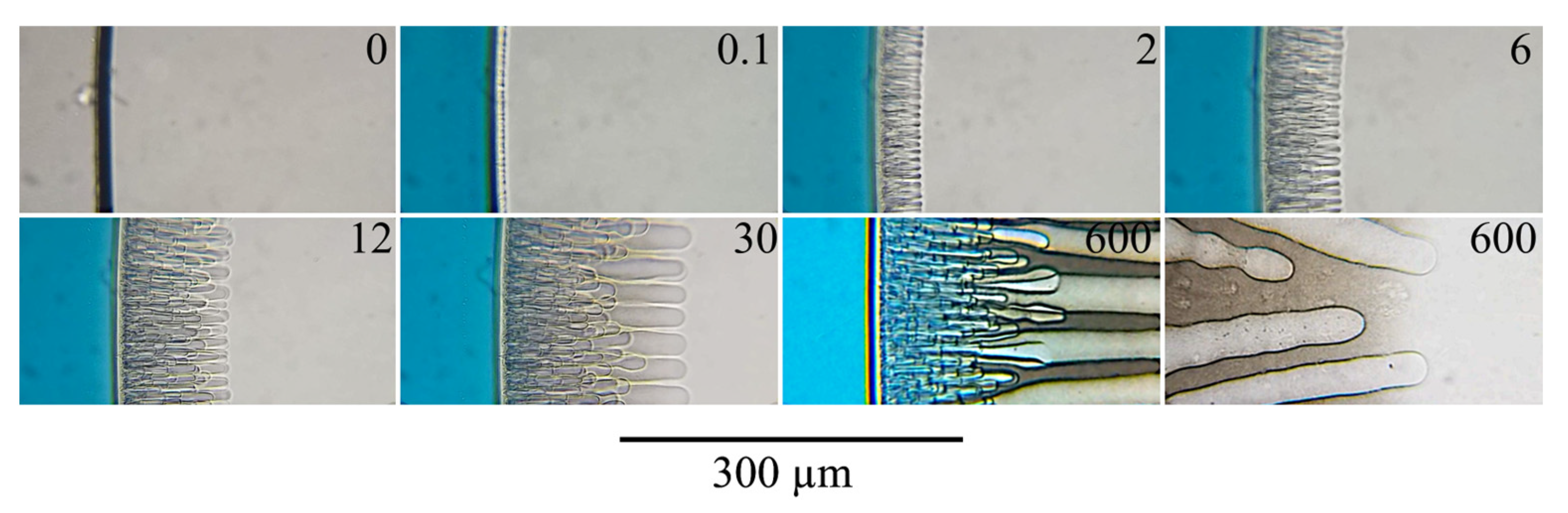 Polymers 14 04603 g007