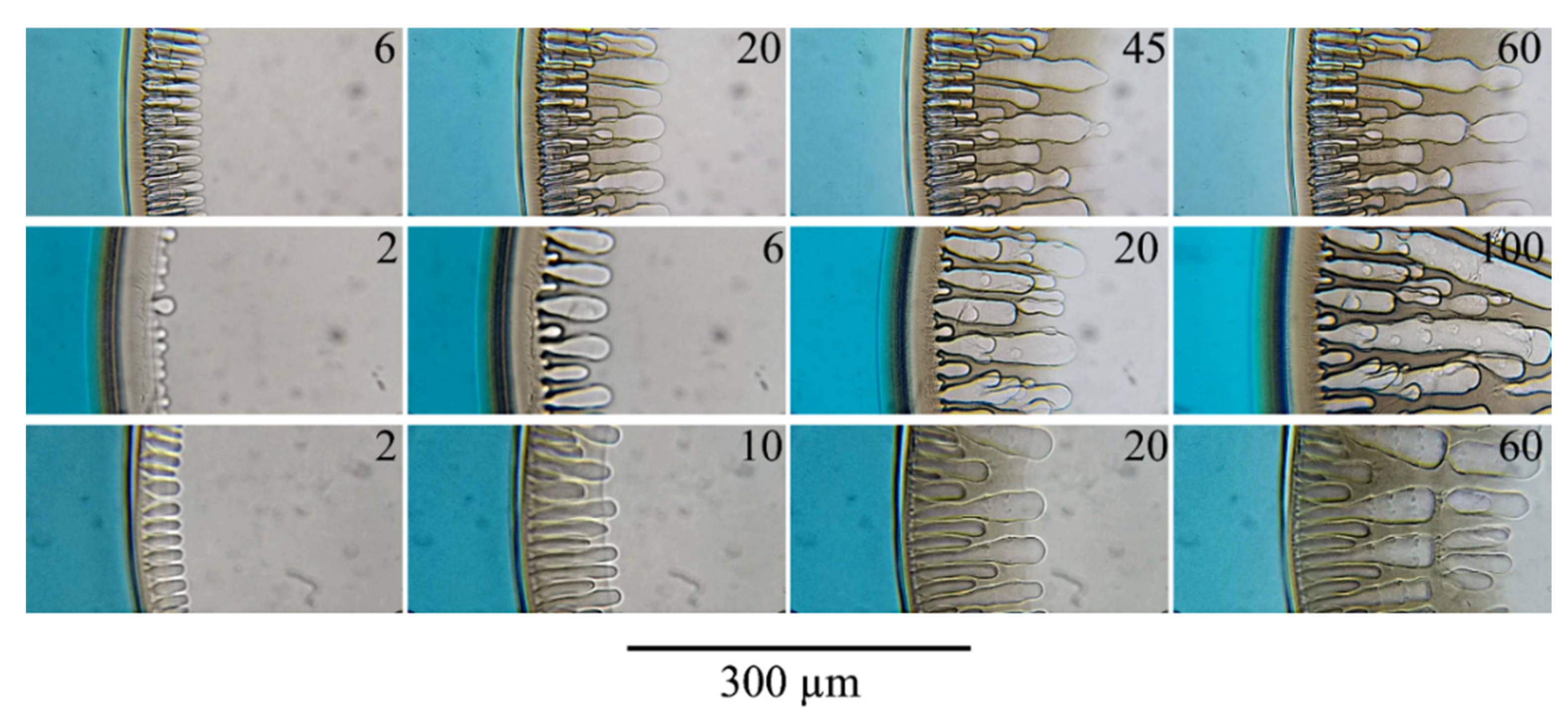 Polymers 14 04603 g008