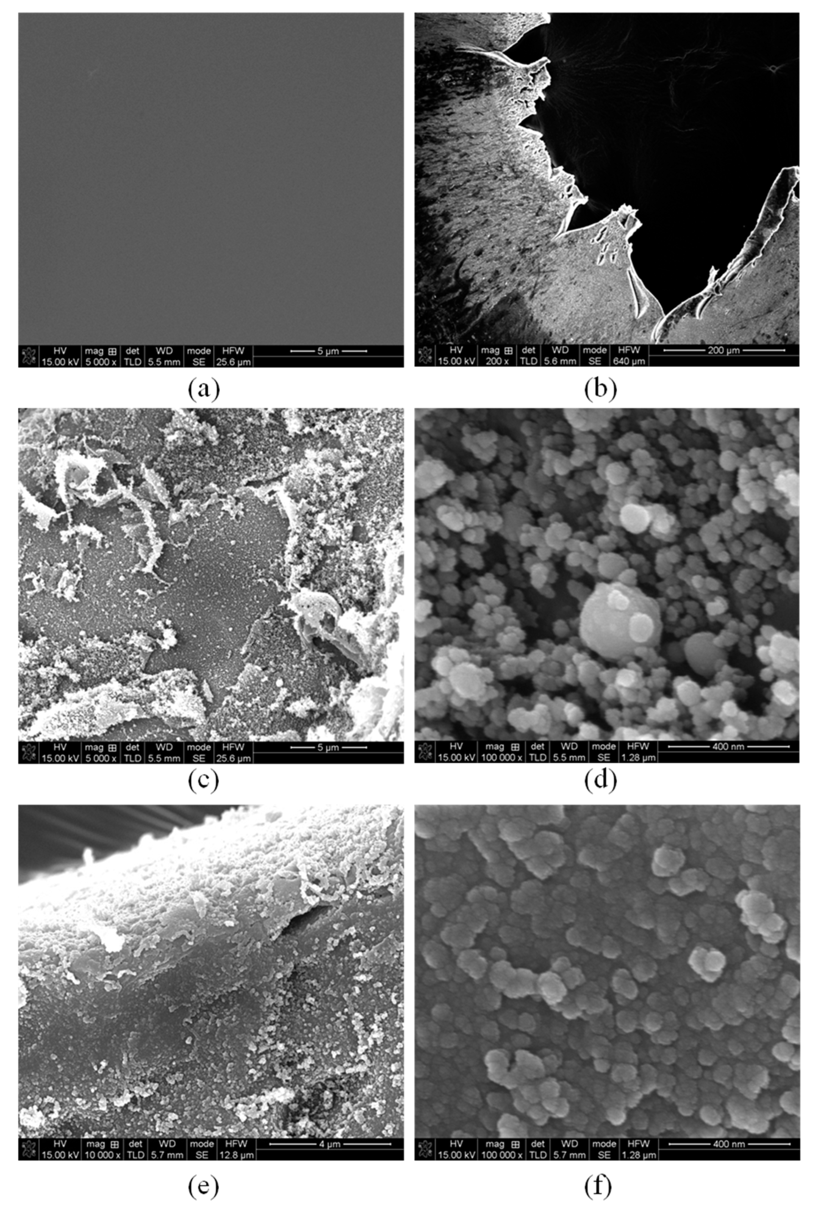 Polymers 14 04604 g007