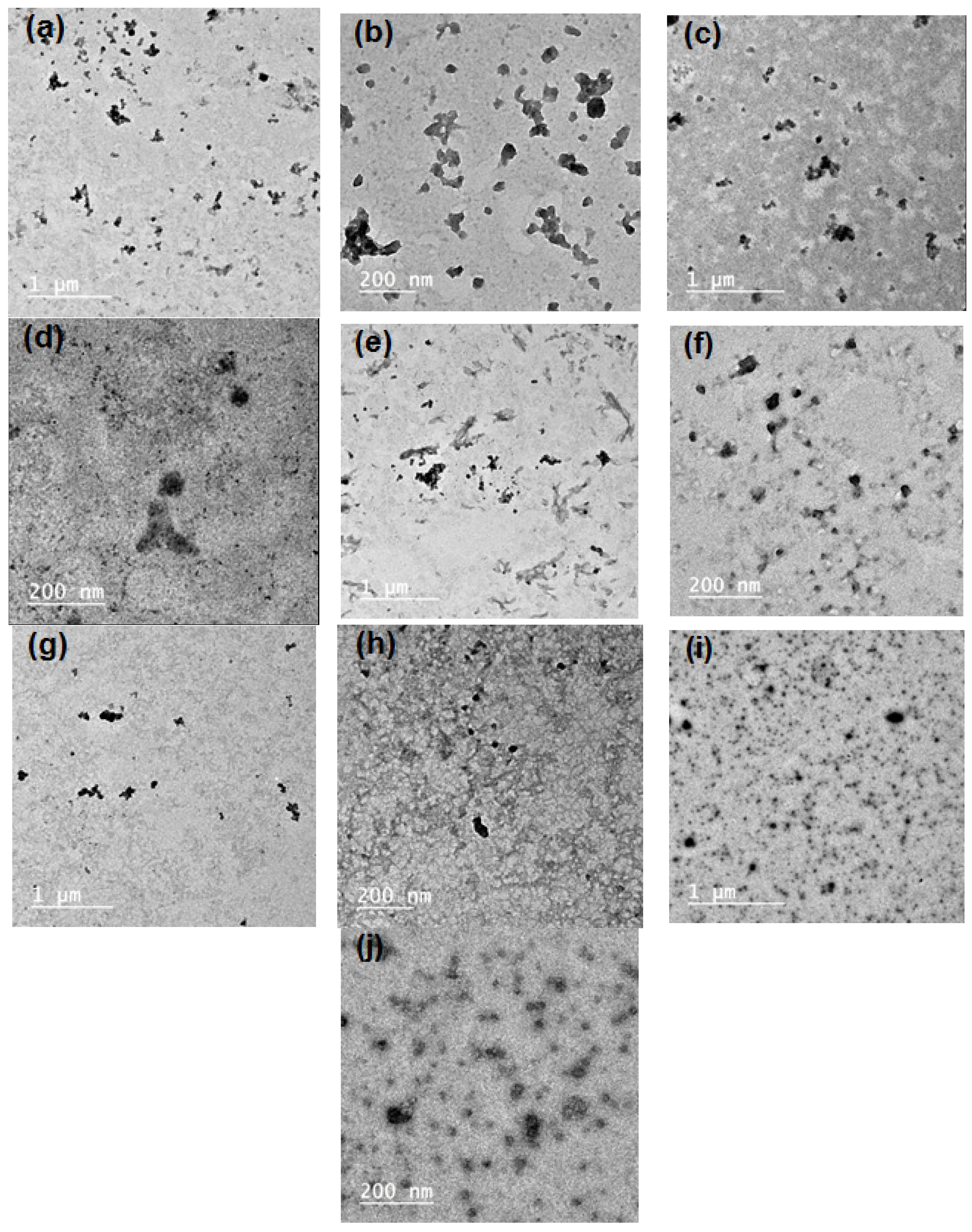 Polymers 14 04605 g001