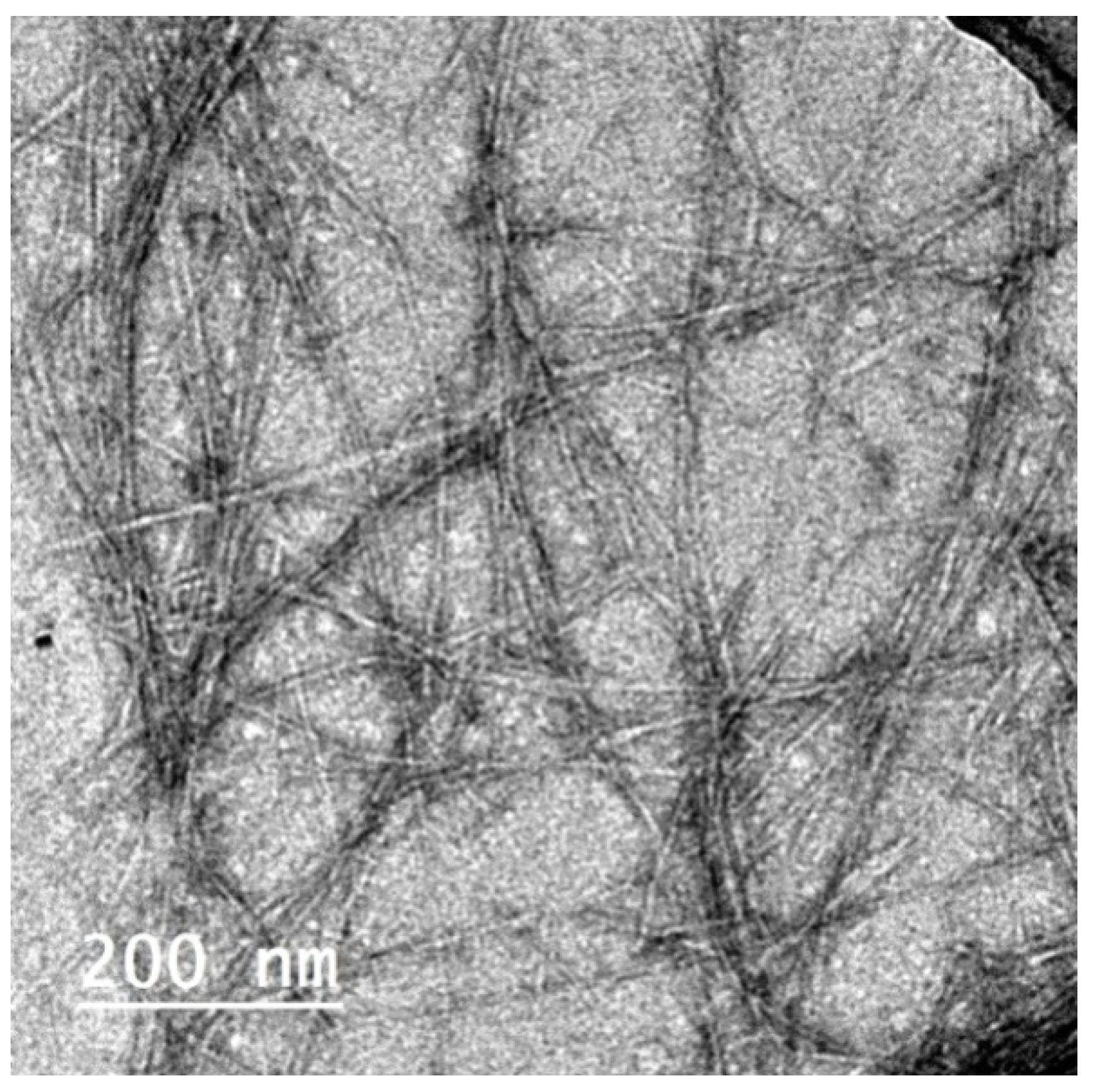 Polymers 14 04605 g003