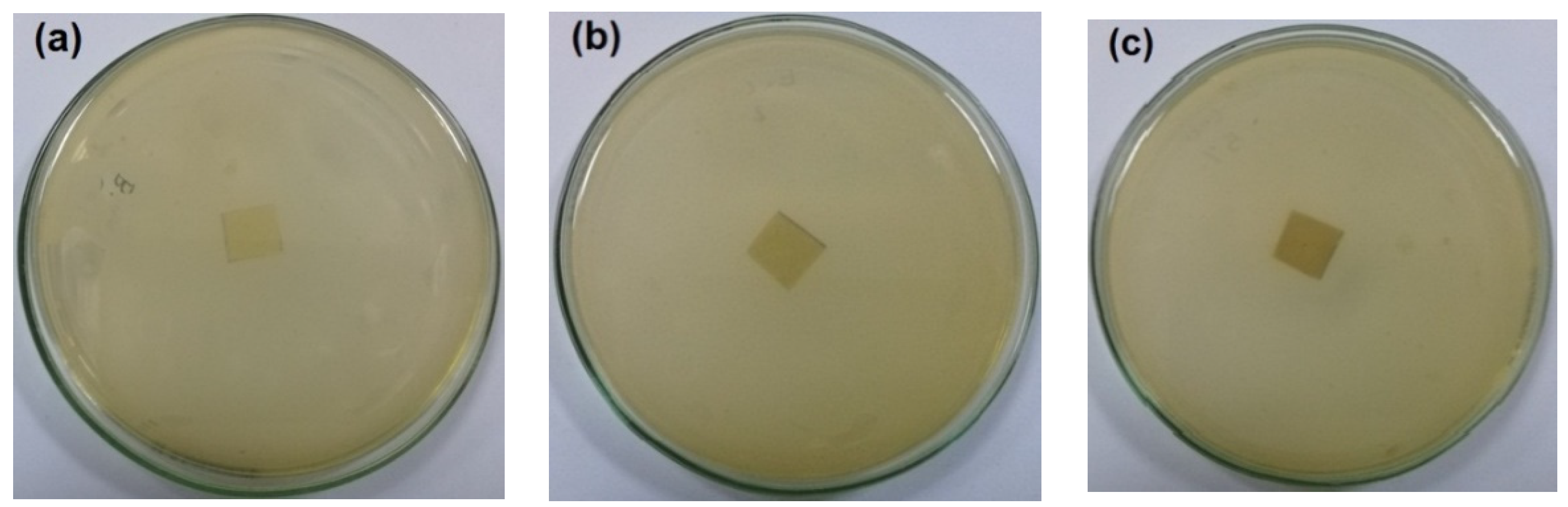 Polymers 14 04605 g005a