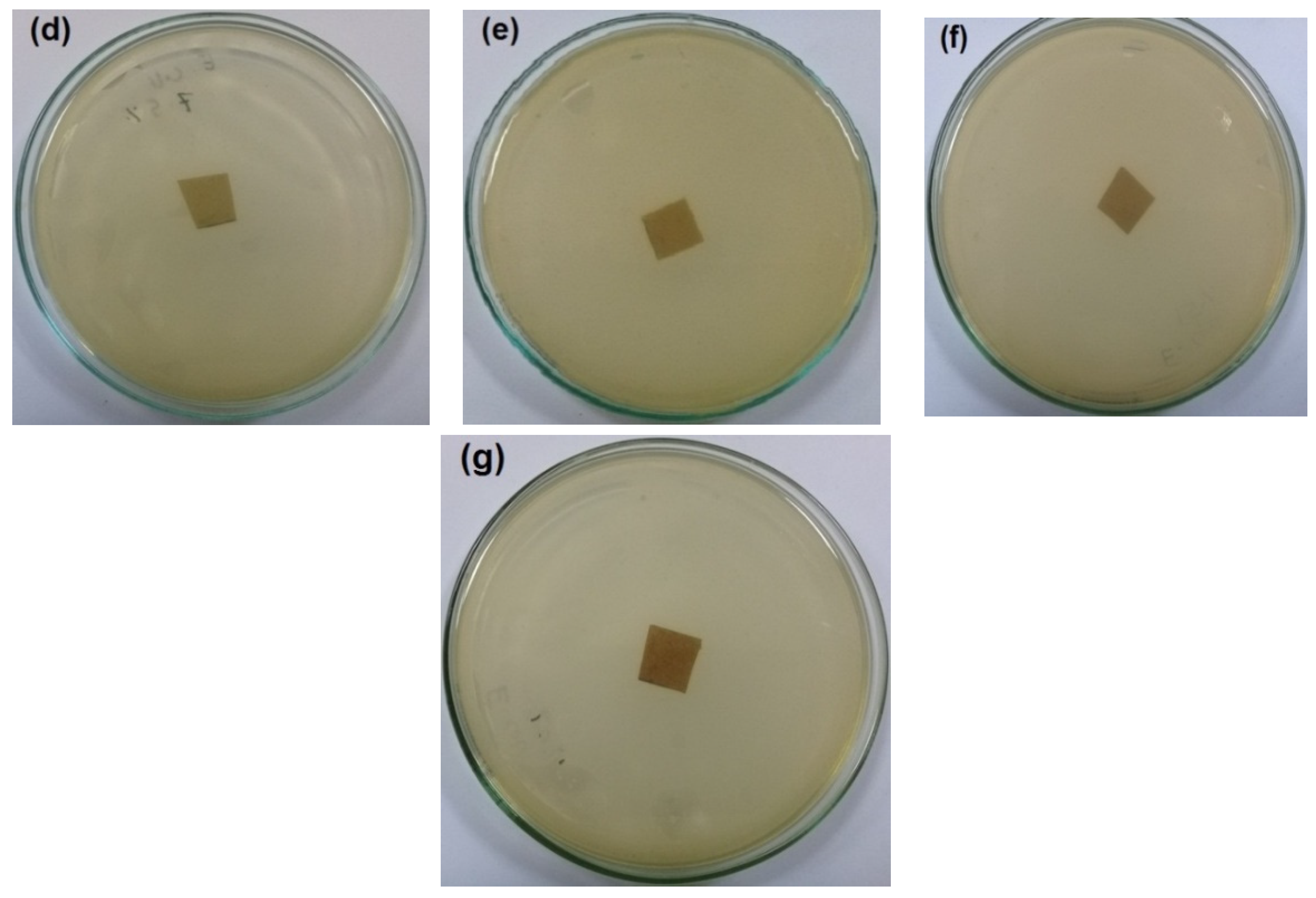 Polymers 14 04605 g005b