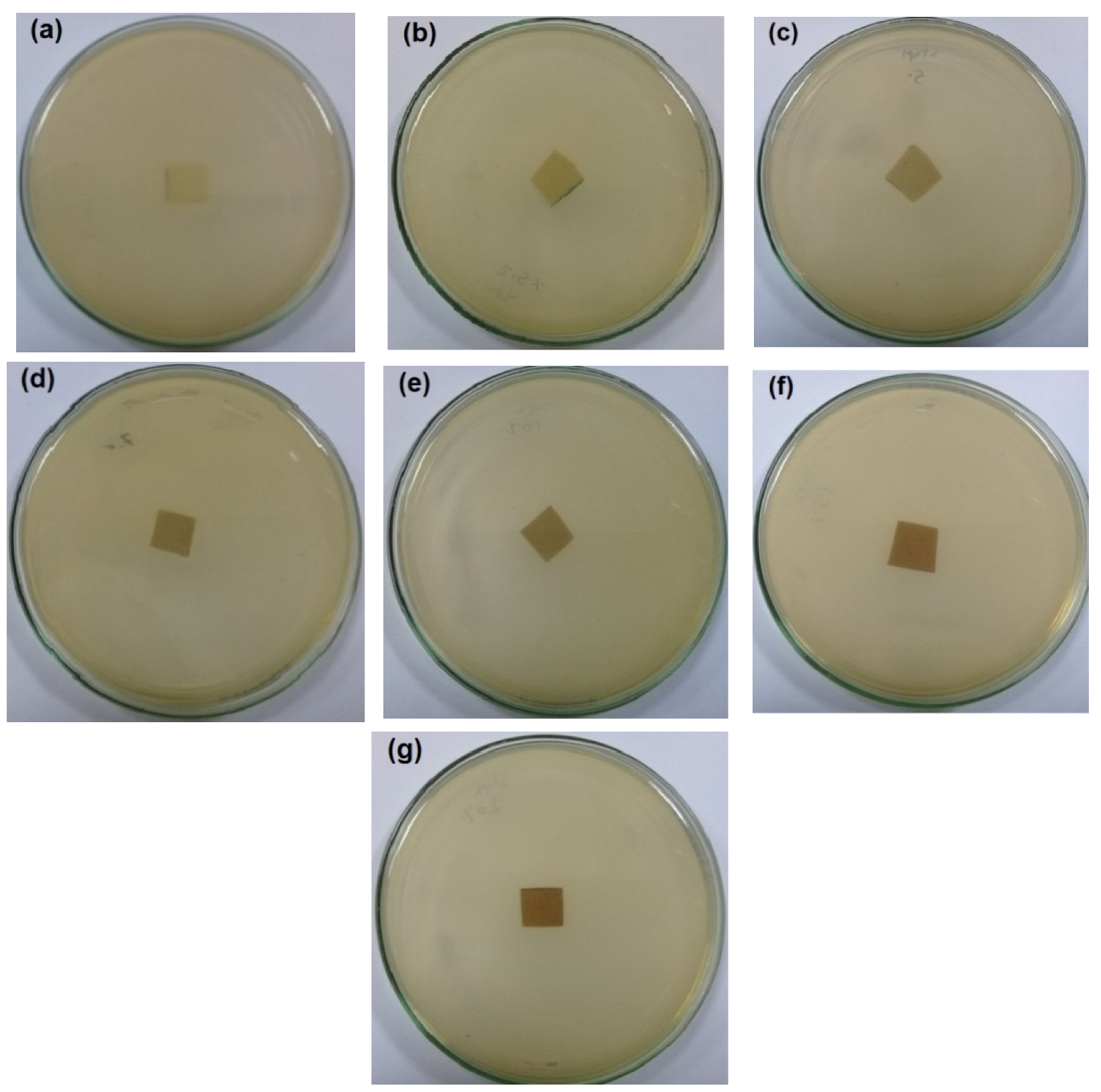 Polymers 14 04605 g006