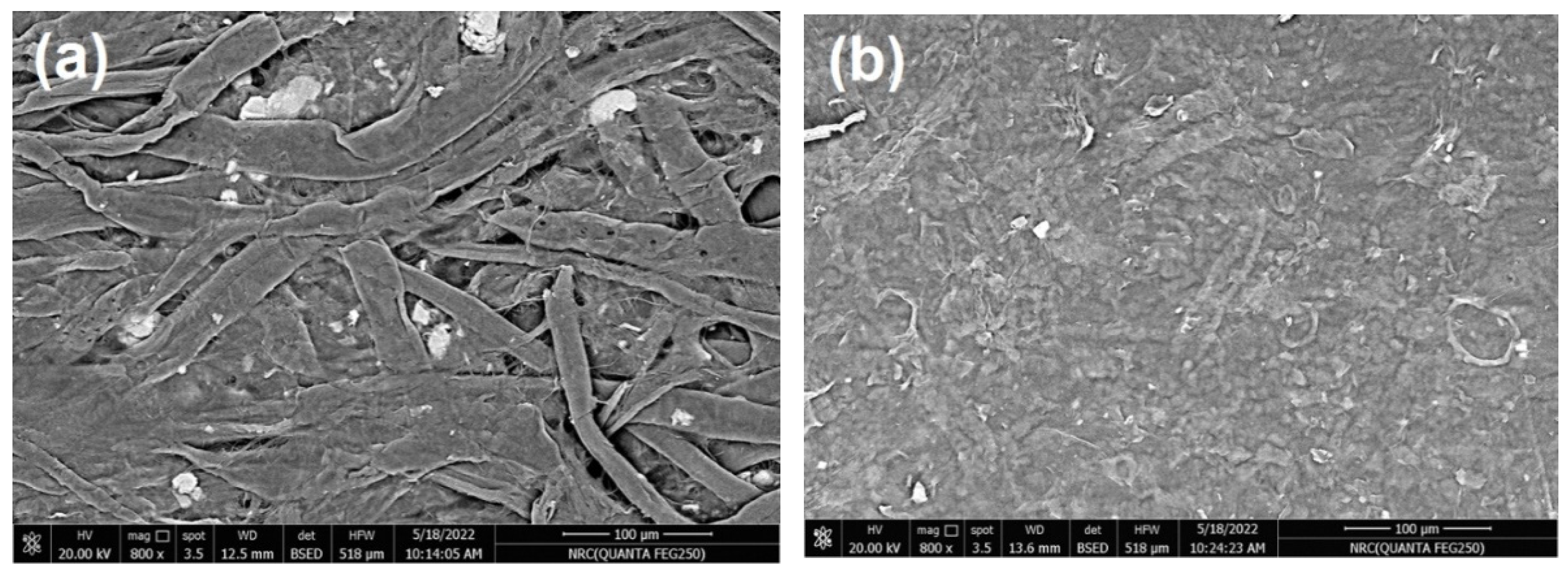 Polymers 14 04605 g007a