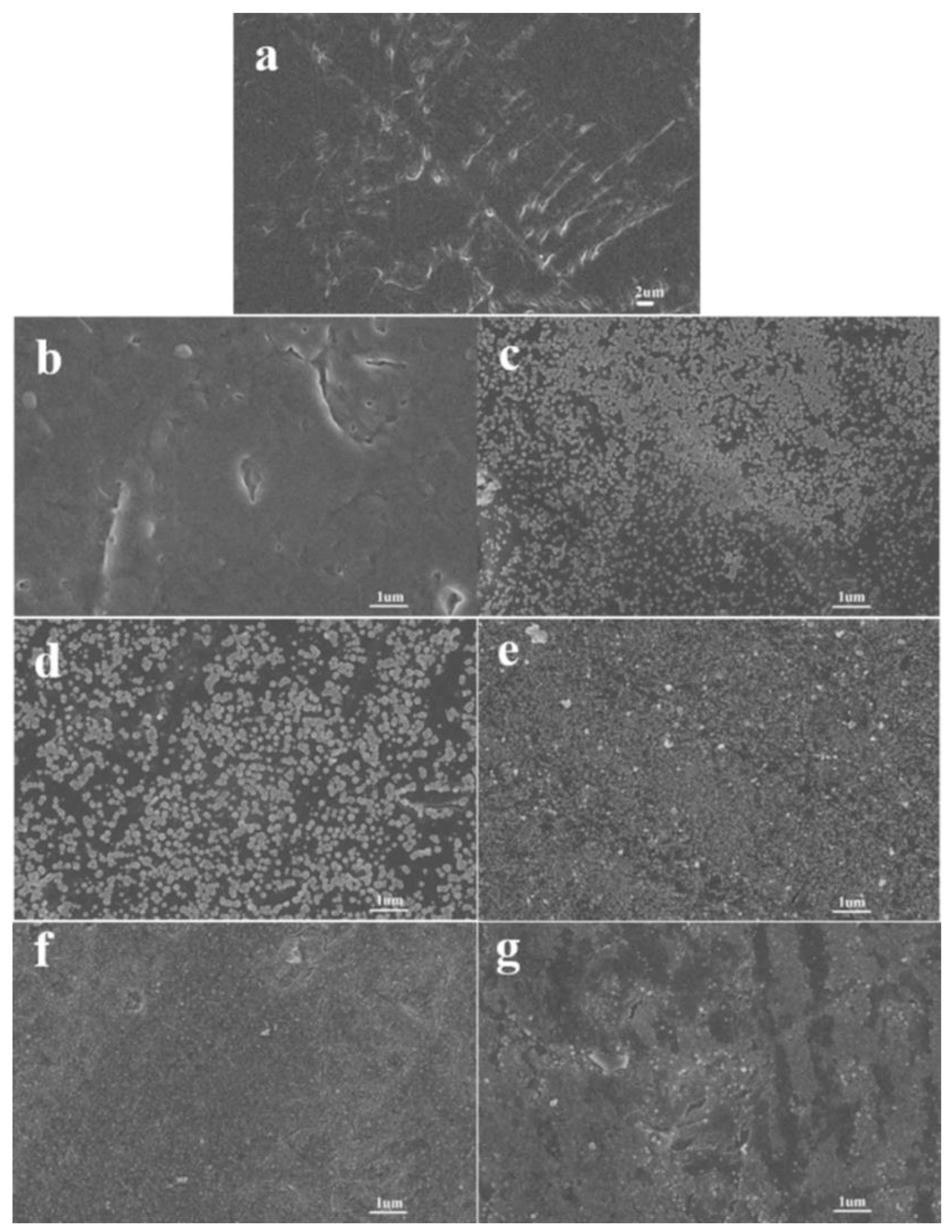 Polymers 14 04606 g001