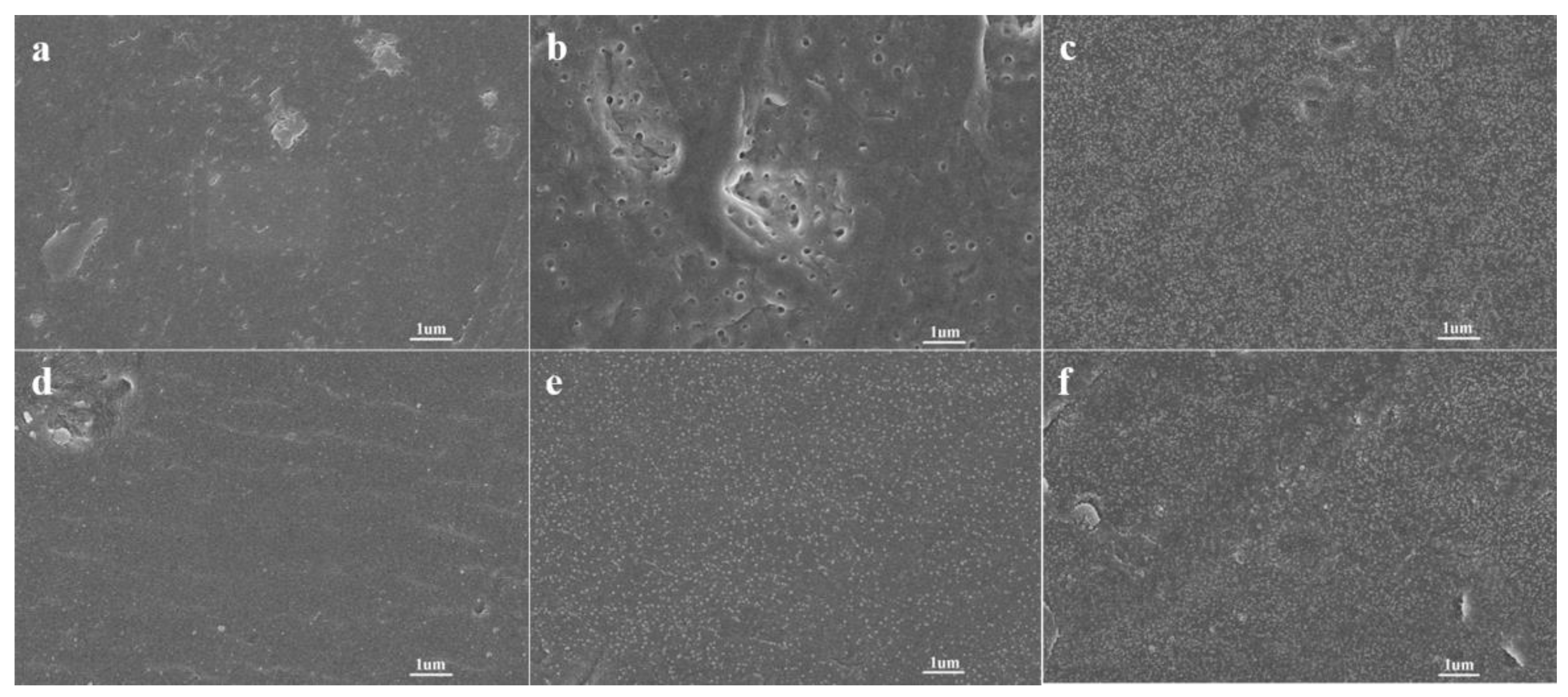 Polymers 14 04606 g002