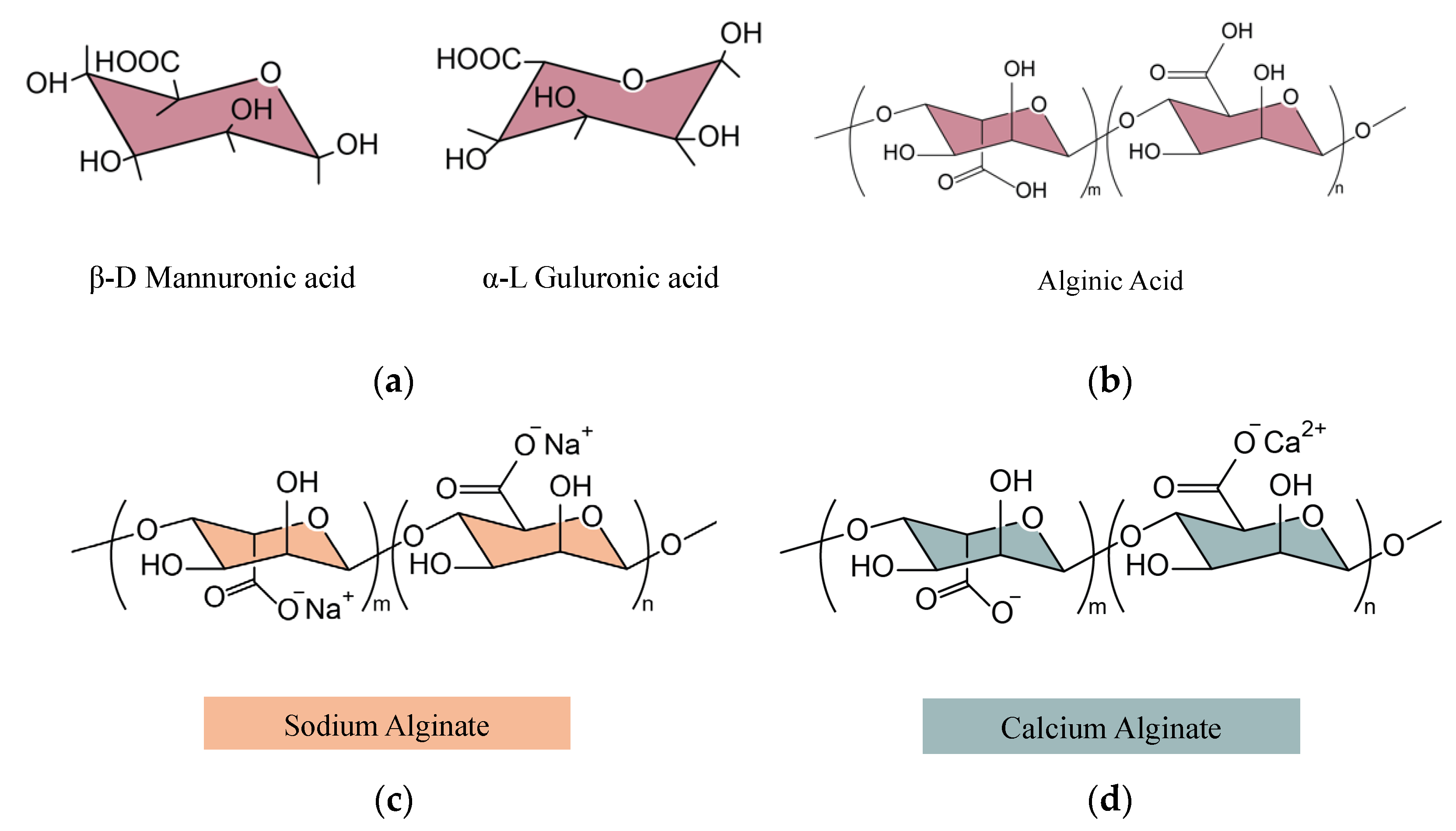 Polymers 14 04607 g001
