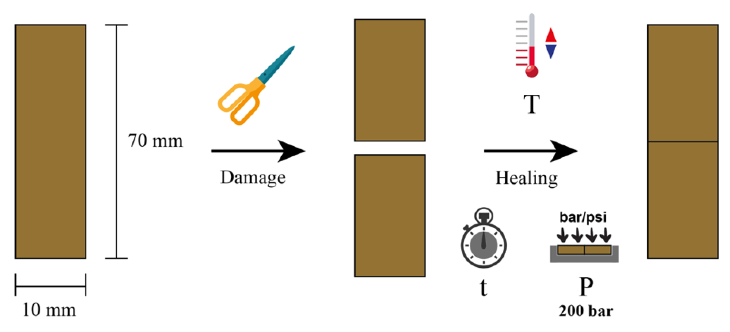 Polymers 14 04607 g003