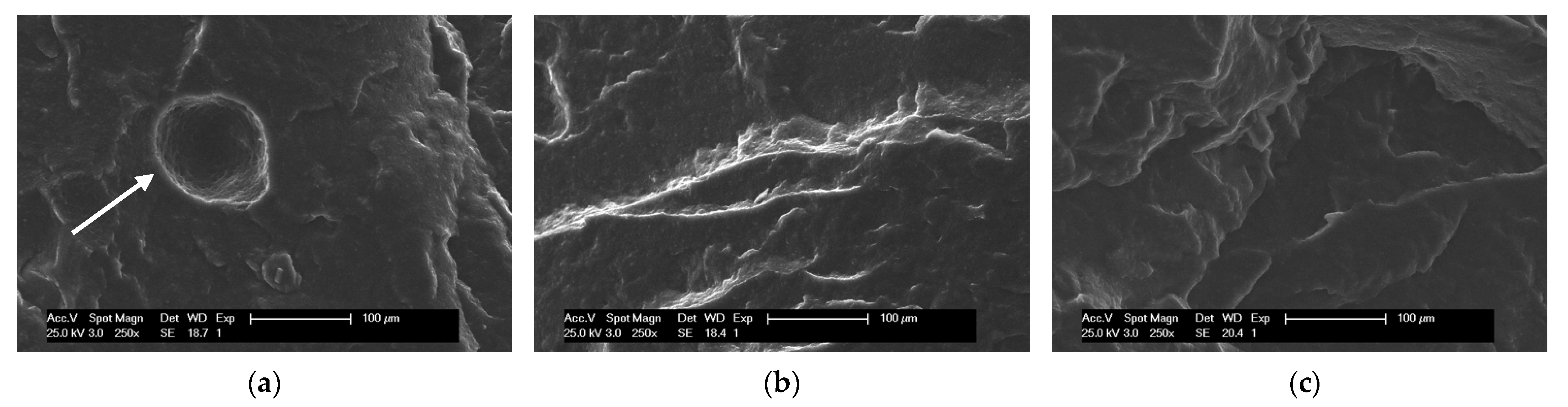 Polymers 14 04607 g007