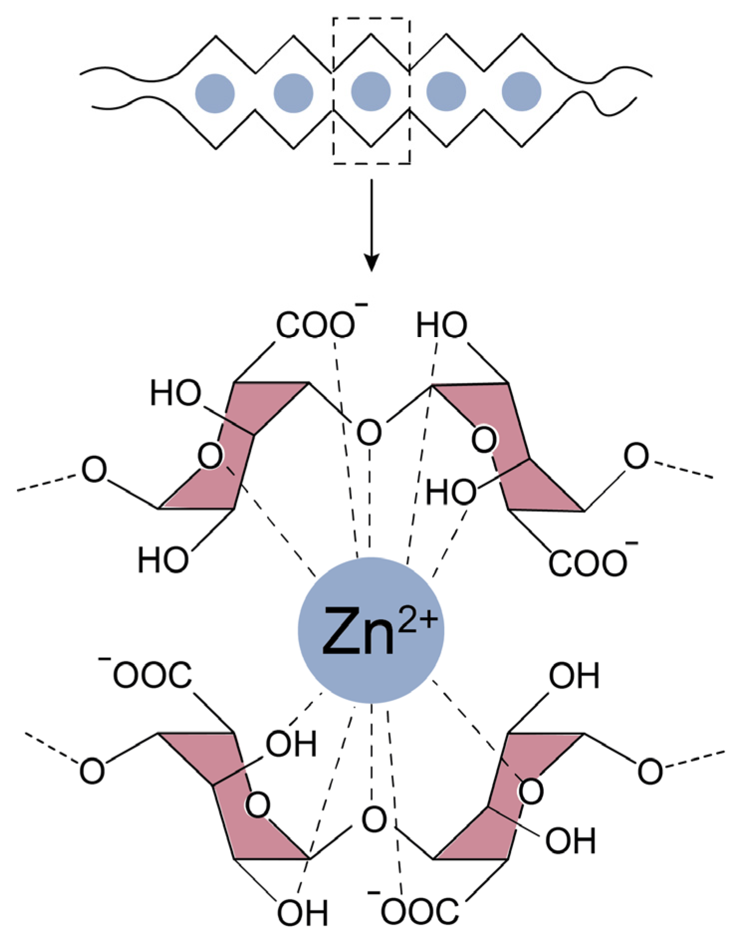 Polymers 14 04607 g009