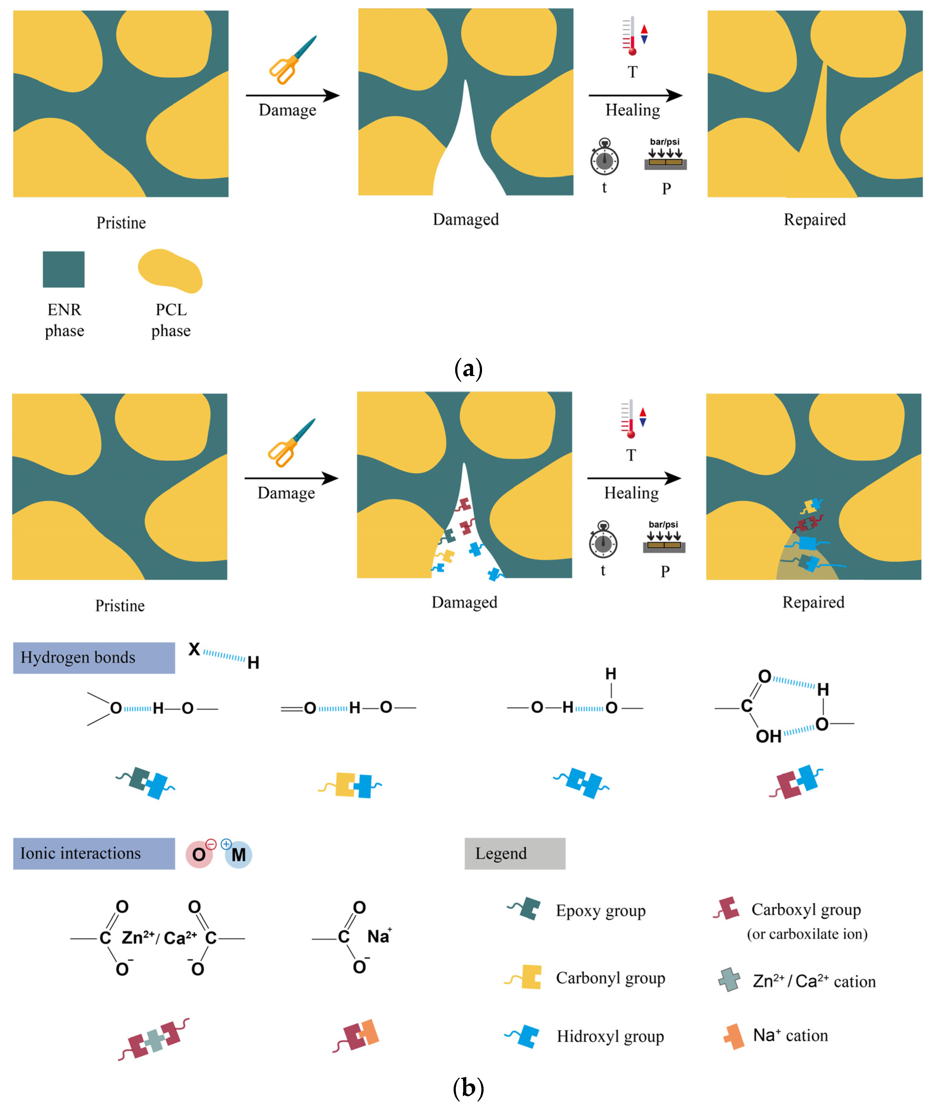 Polymers 14 04607 g013