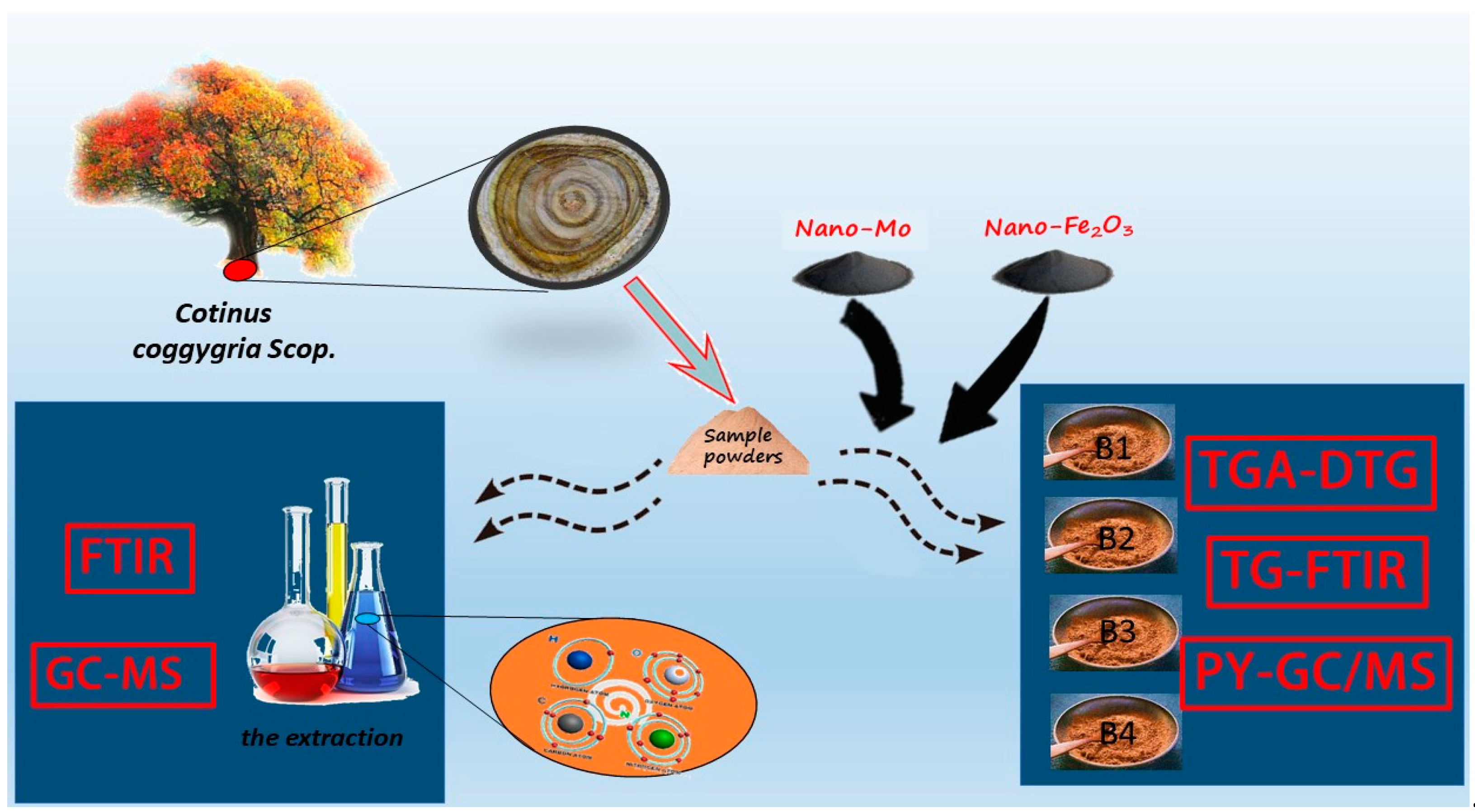Polymers 14 04610 g001
