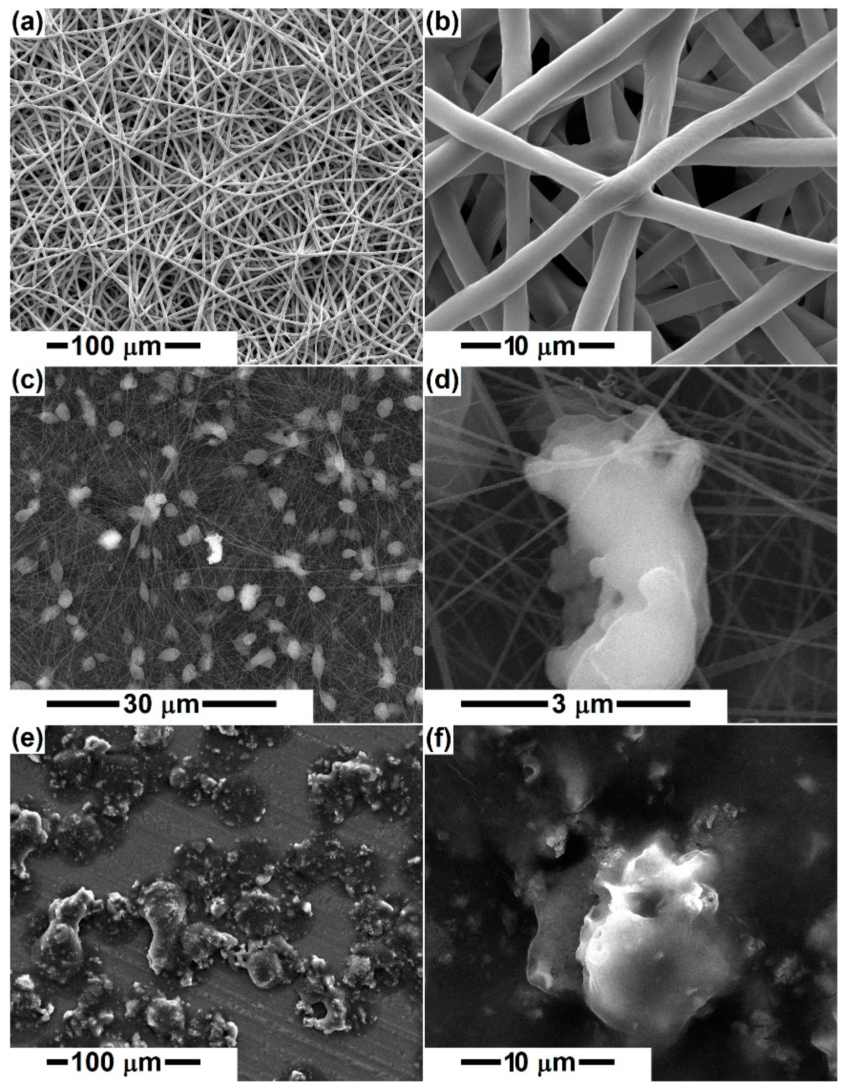 Polymers 14 04611 g001