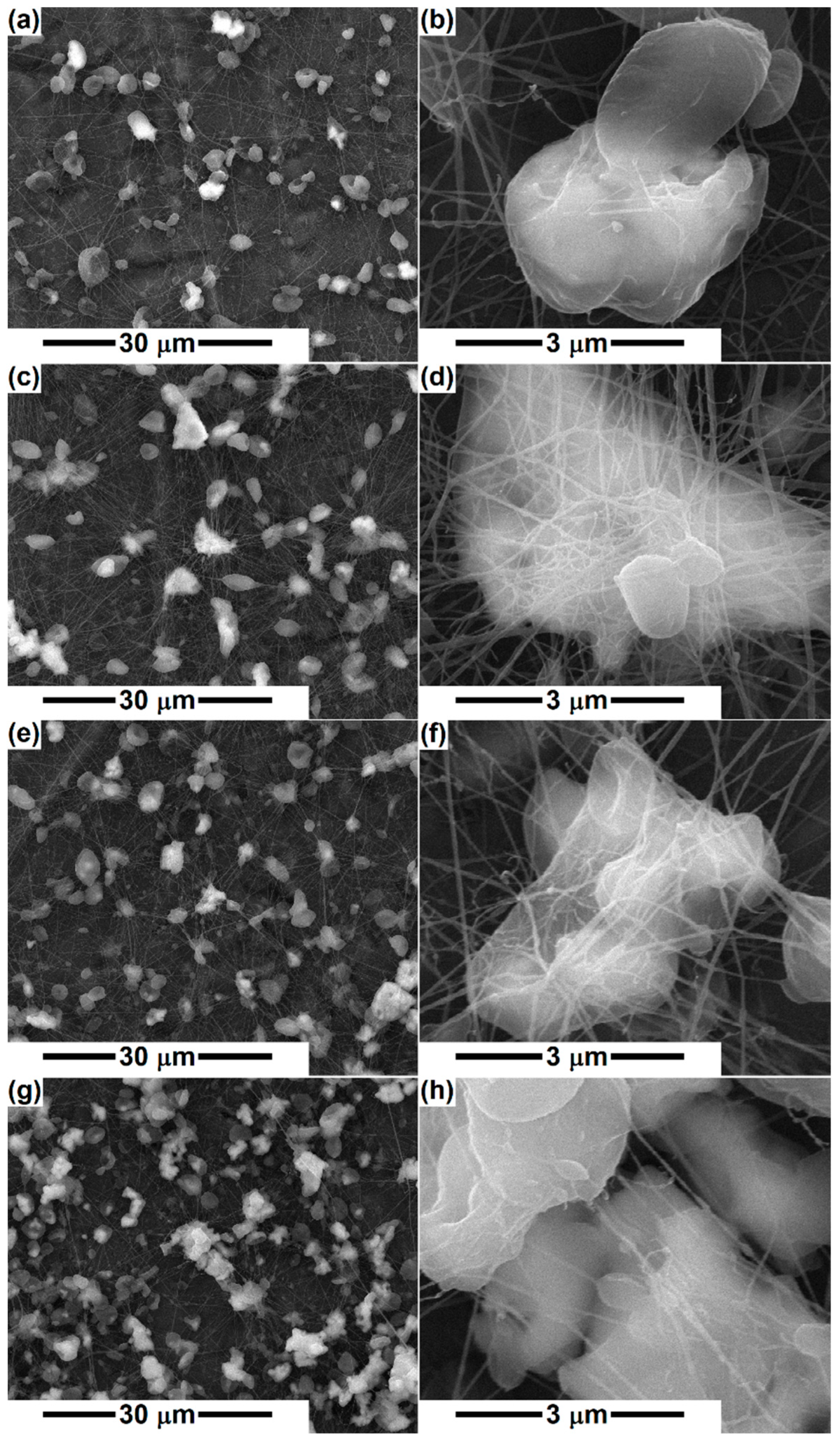 Polymers 14 04611 g002
