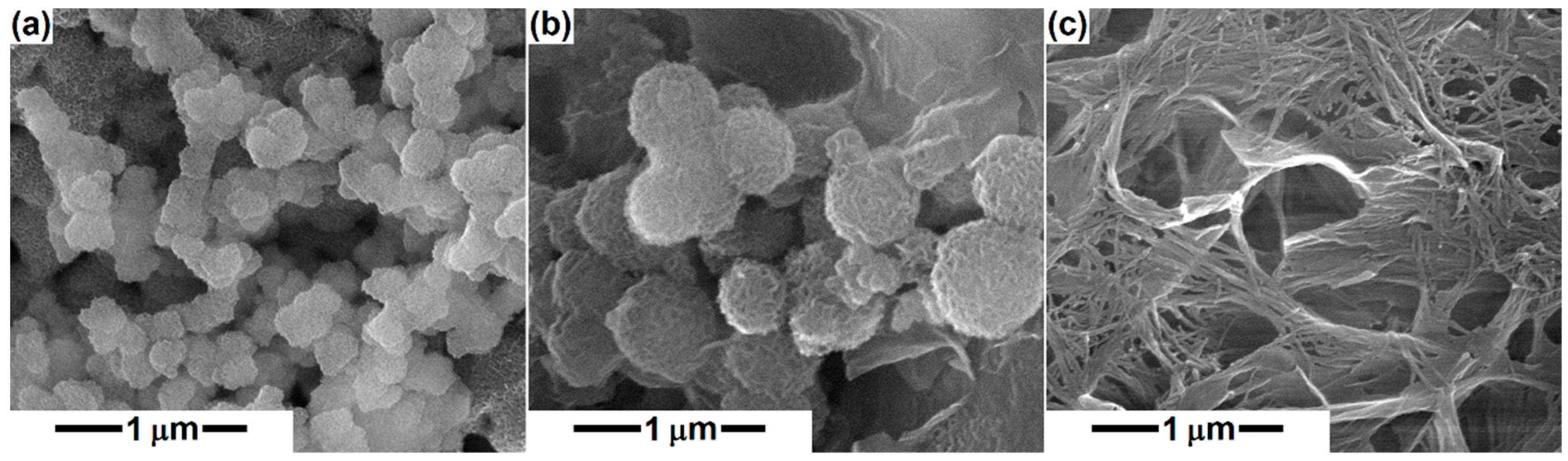 Polymers 14 04611 g005