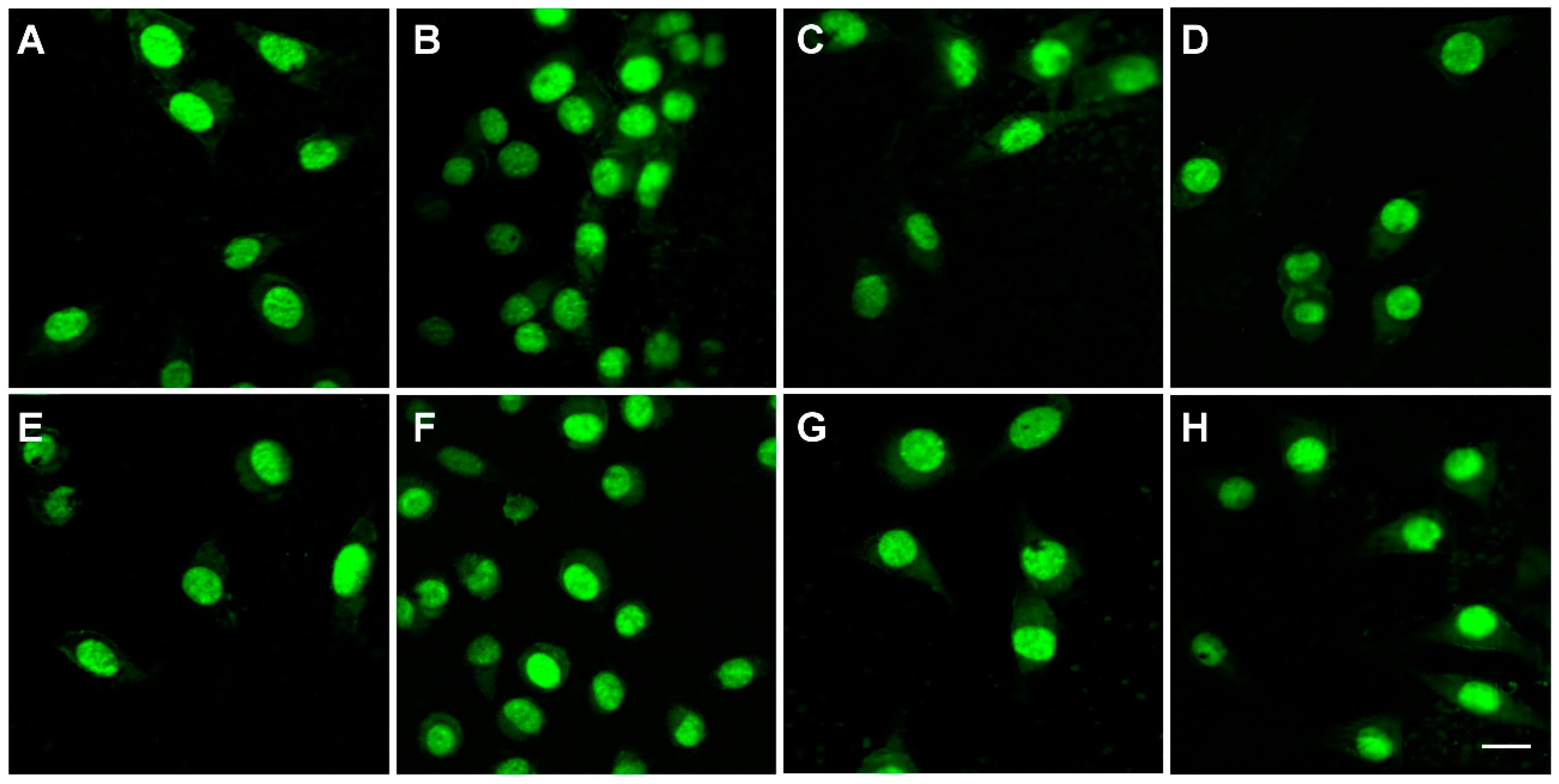 Polymers 14 04611 g007