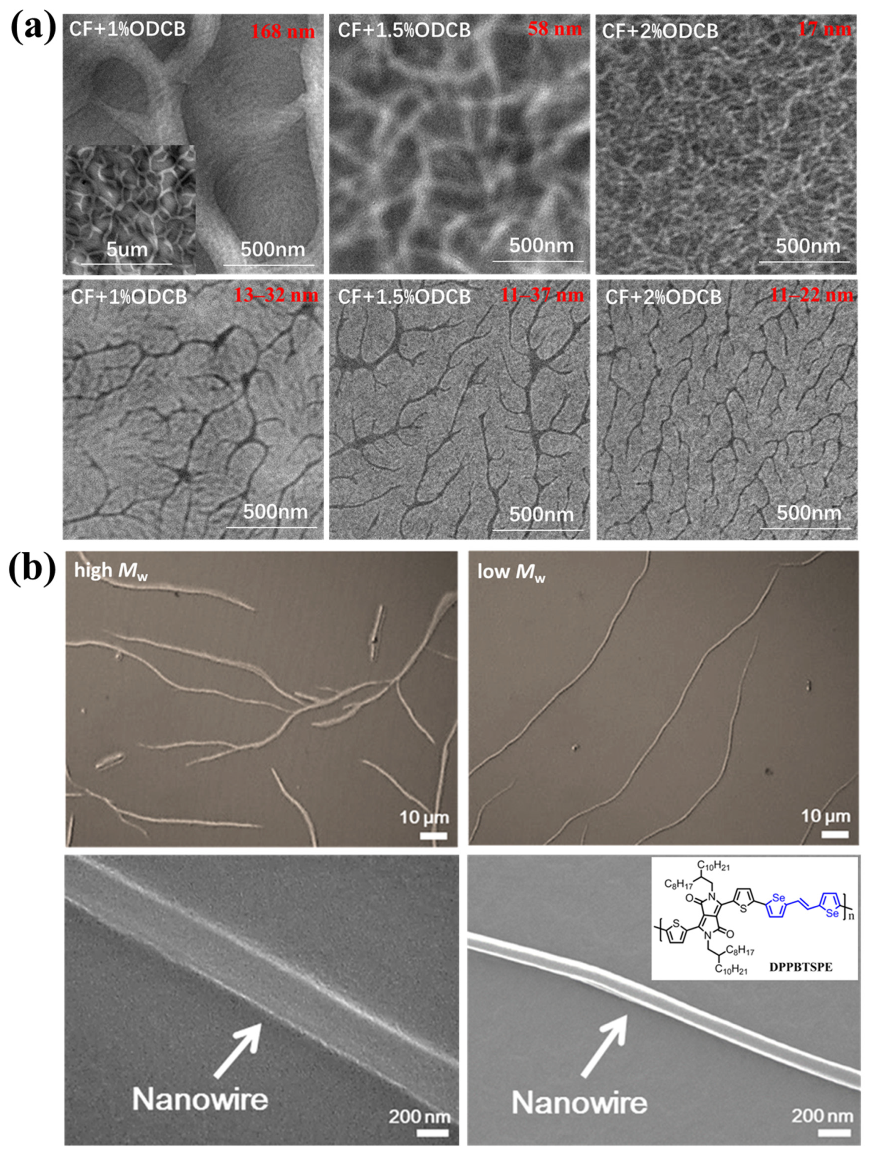 Polymers 14 04612 g006