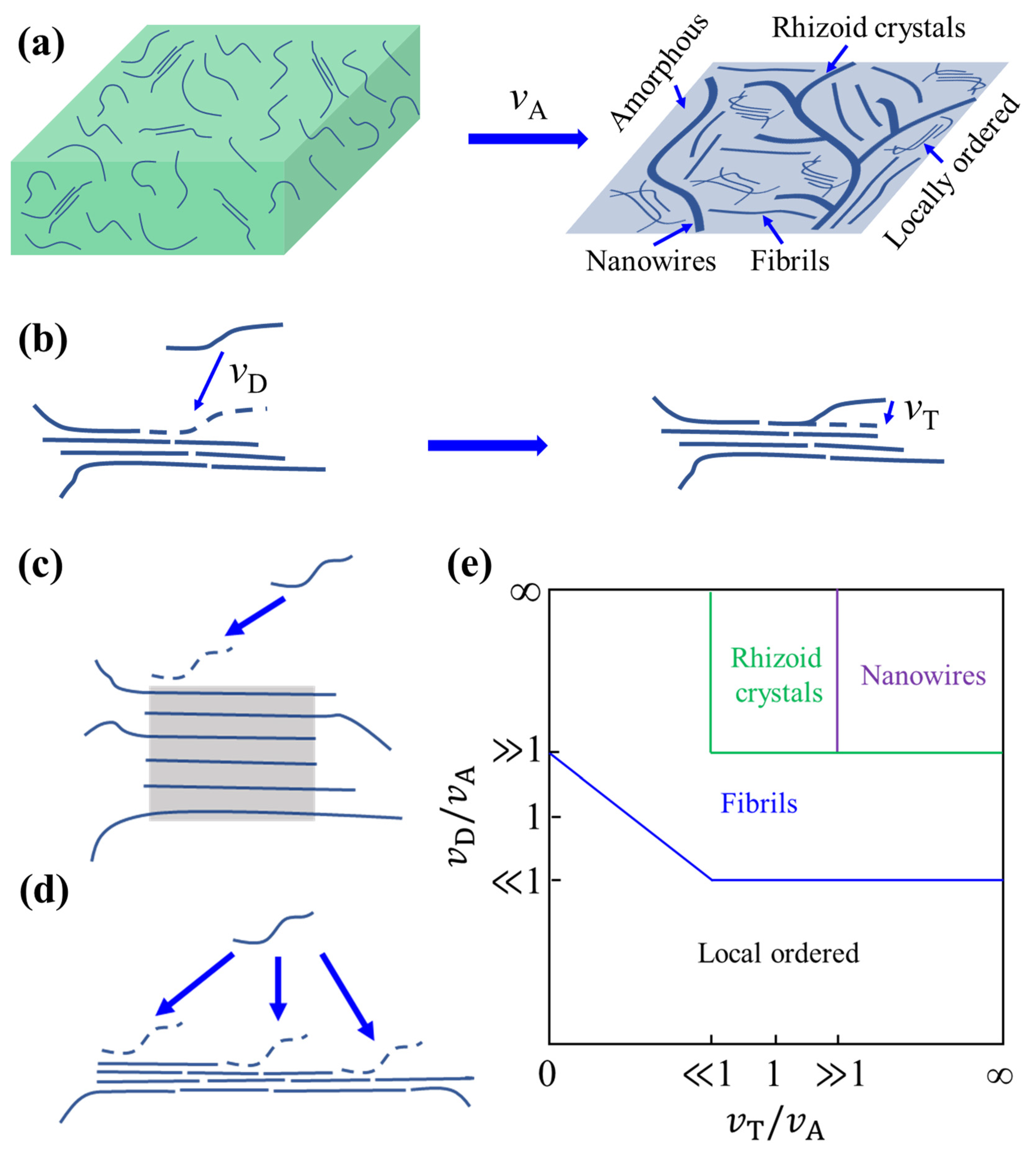 Polymers 14 04612 g007