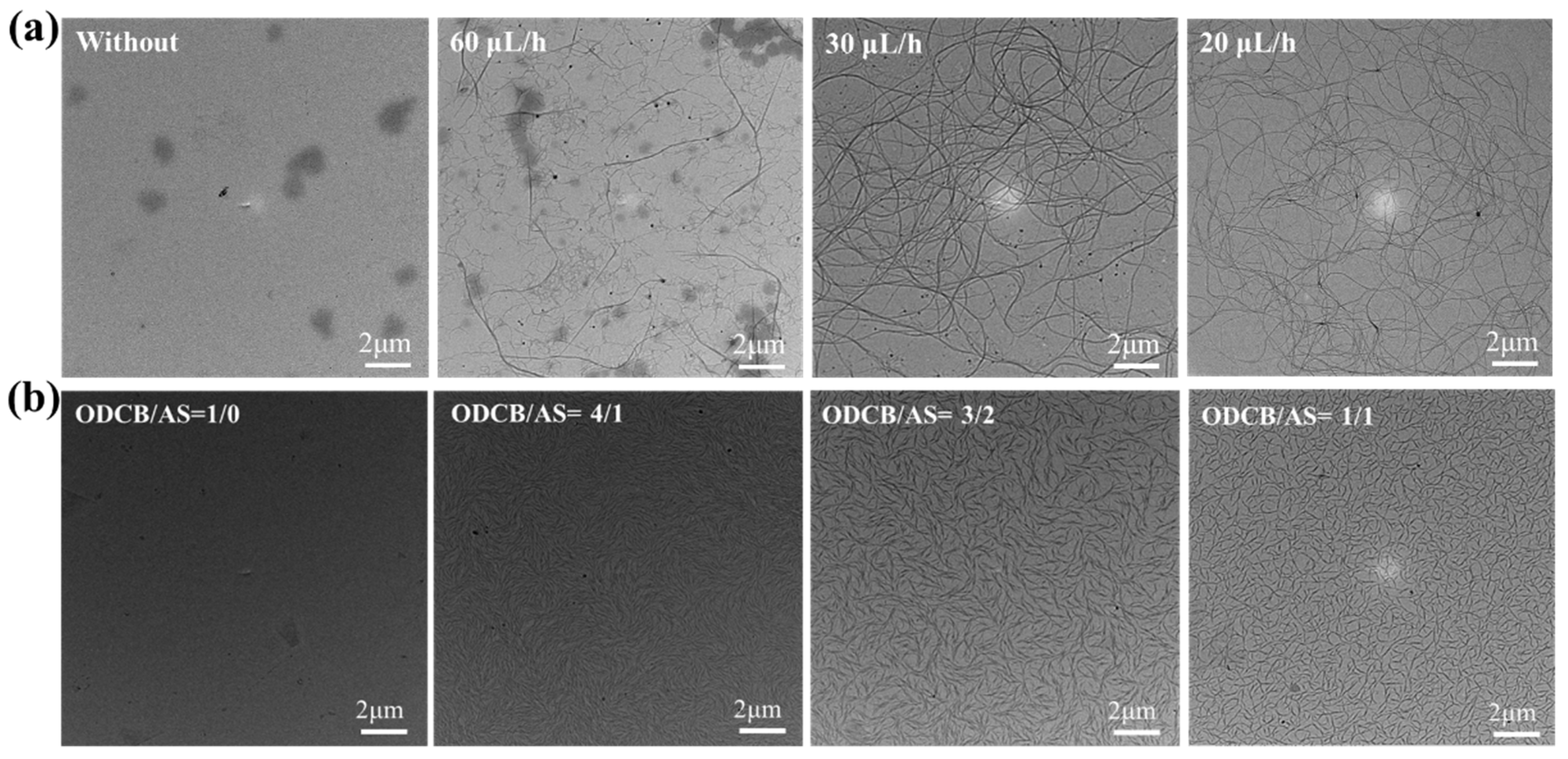 Polymers 14 04612 g011