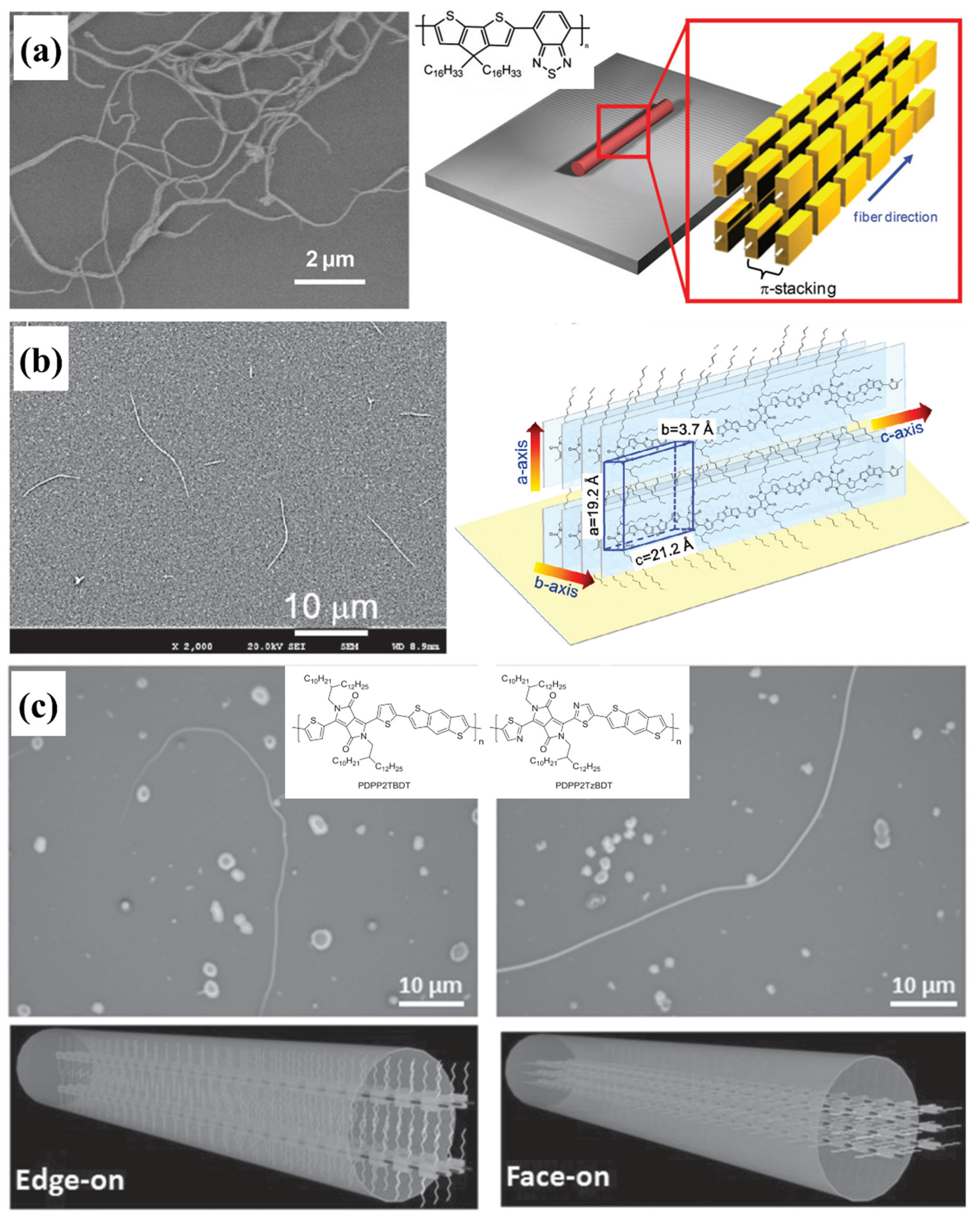 Polymers 14 04612 g012
