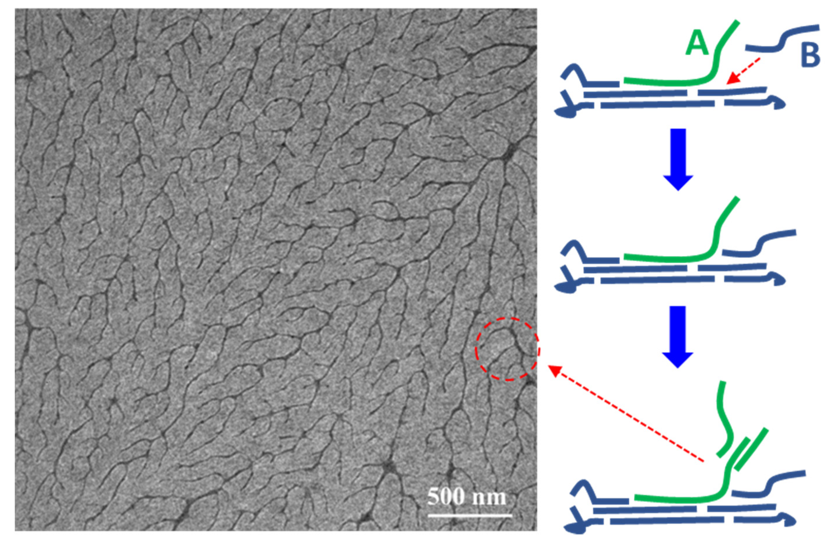 Polymers 14 04612 g013