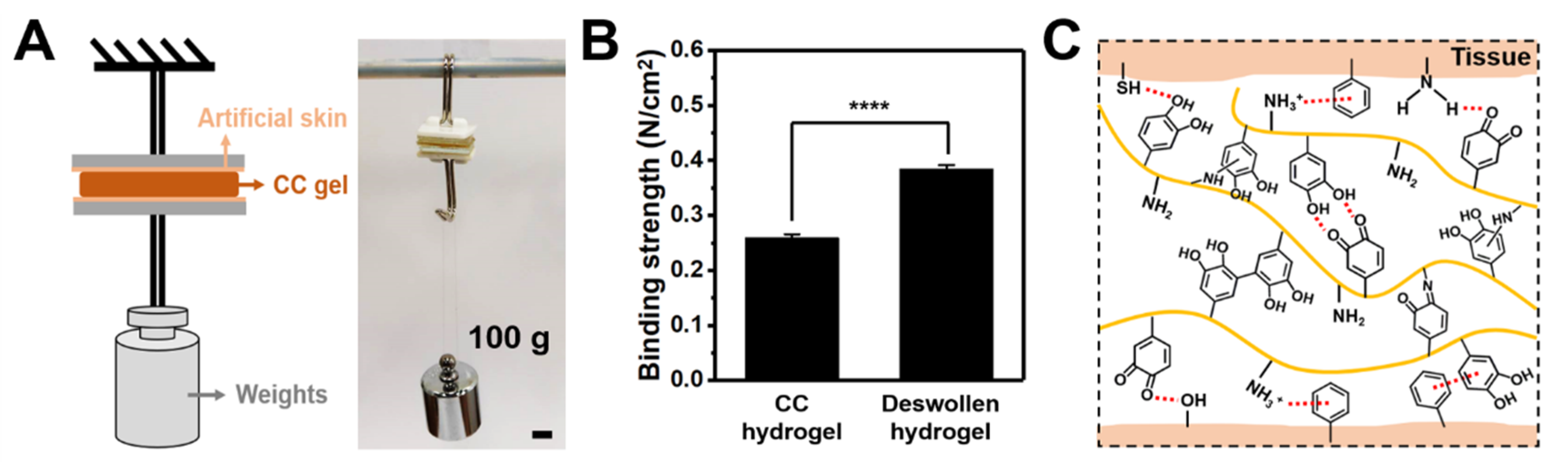 Polymers 14 04614 g008 Polymers 14 04614 g008