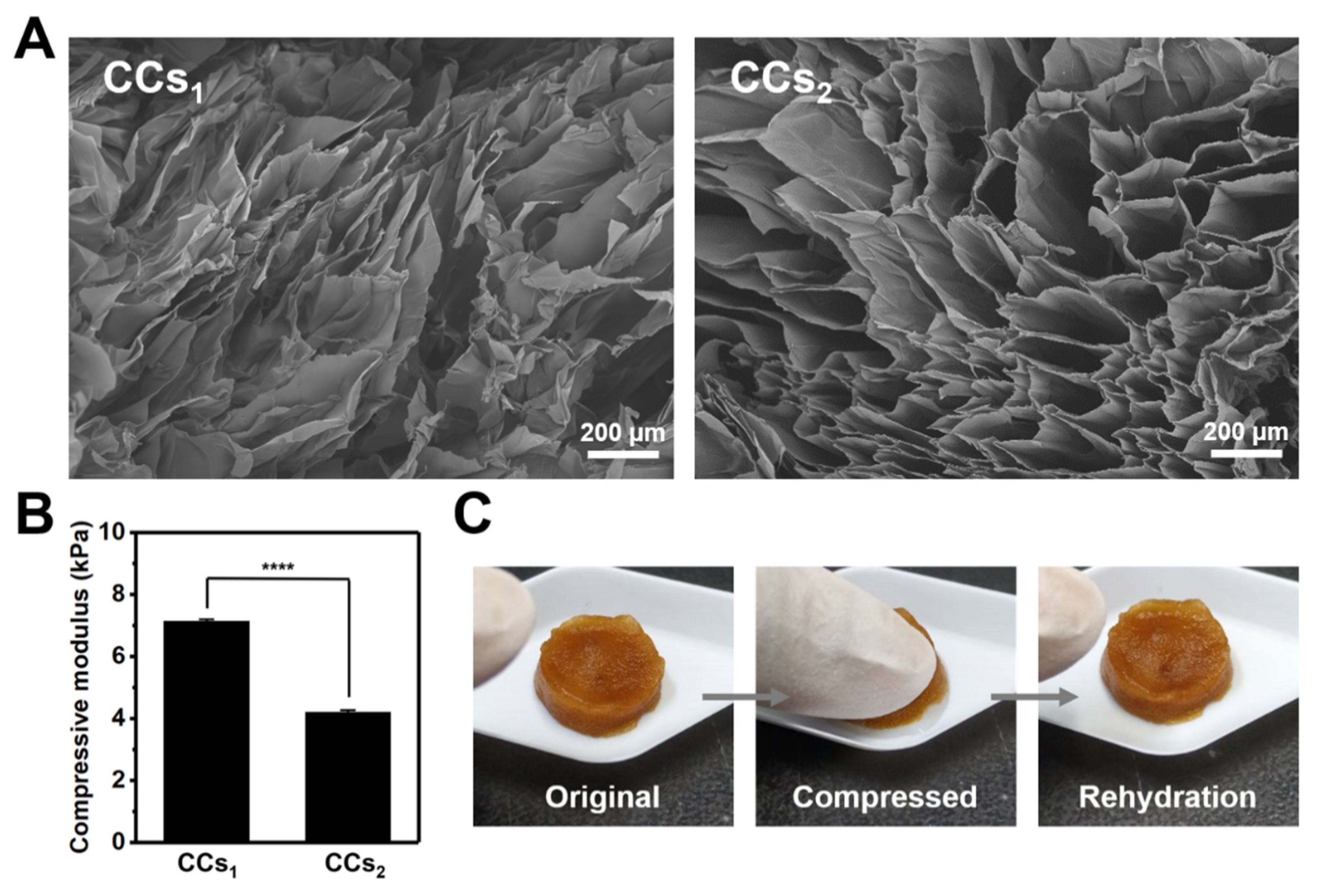 Polymers 14 04614 g009 Polymers 14 04614 g009