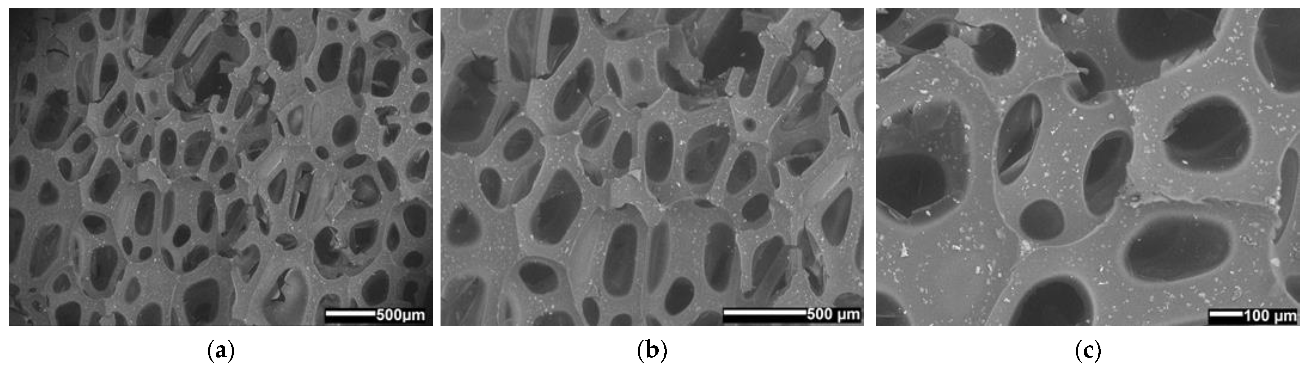 Polymers 14 04616 g016