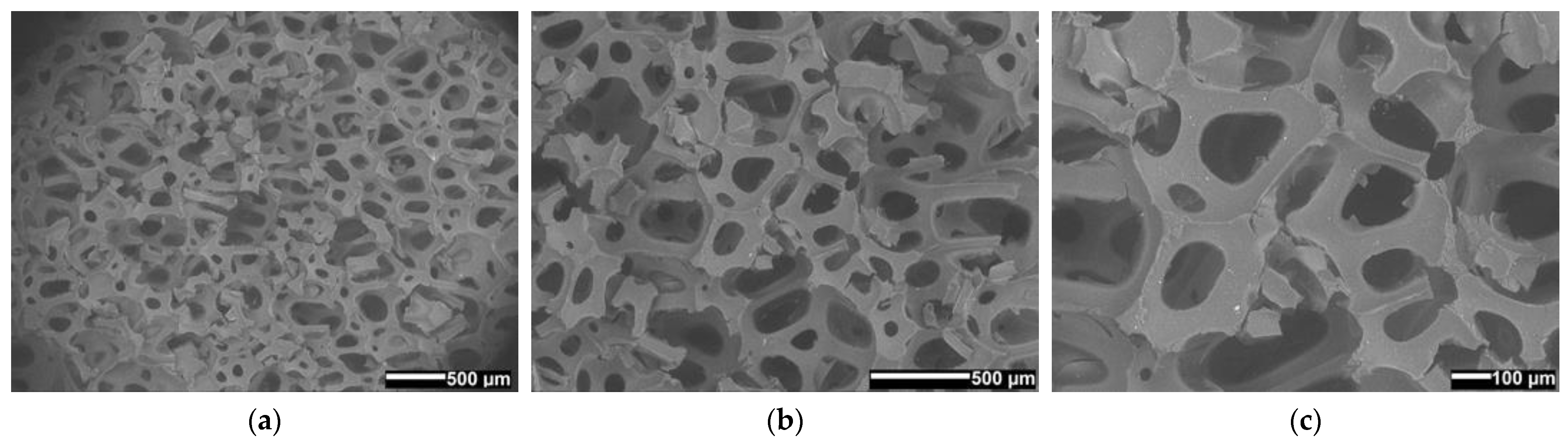 Polymers 14 04616 g017