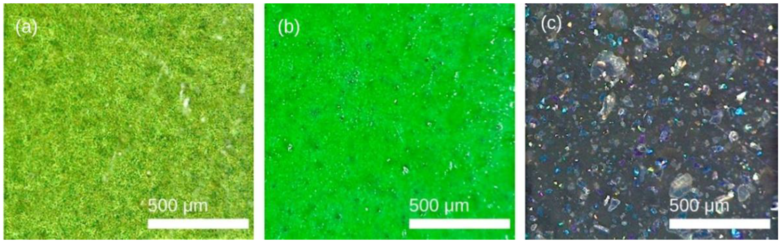 Polymers 14 04617 g002