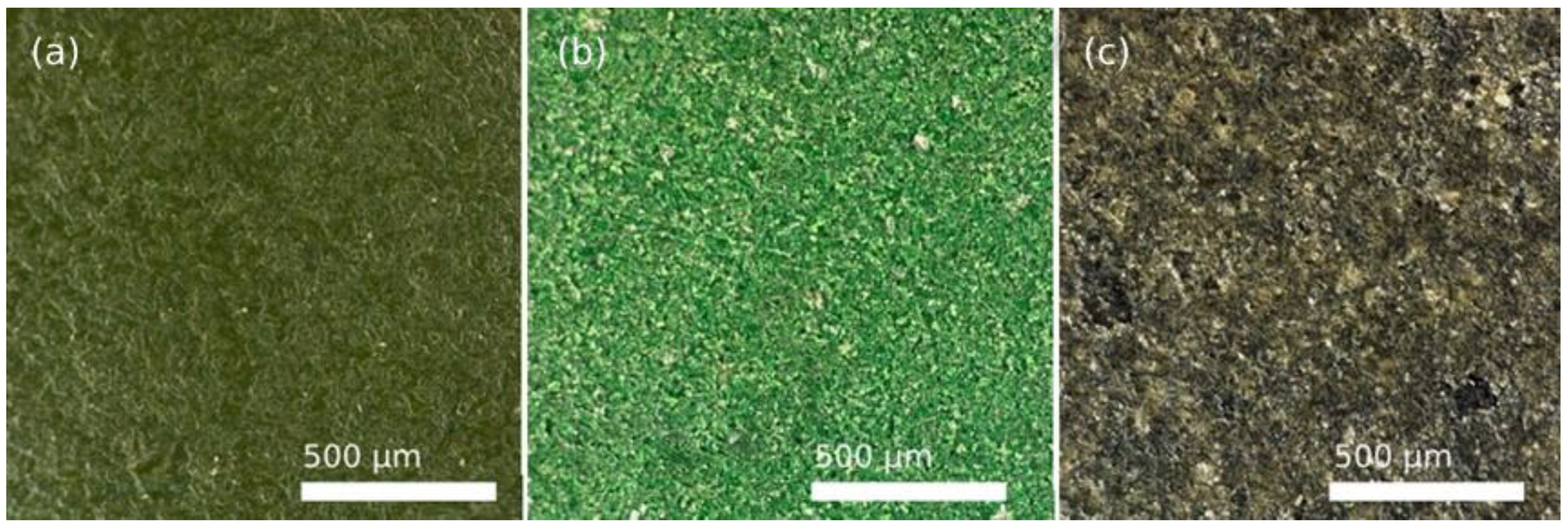 Polymers 14 04617 g004