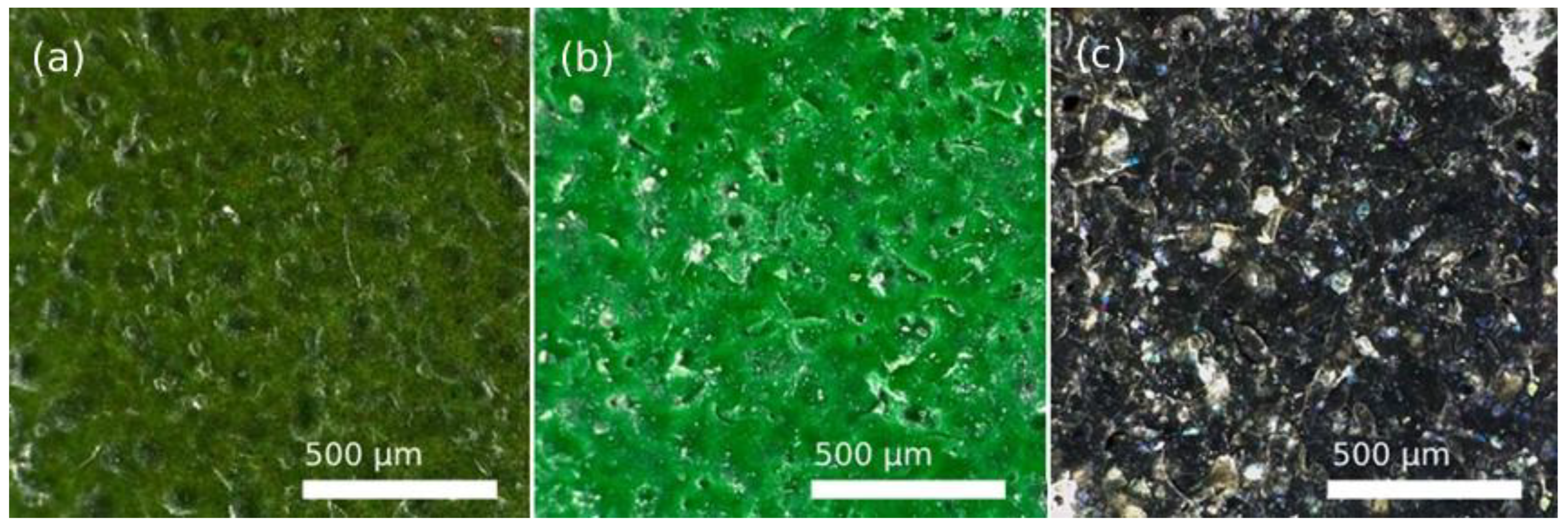 Polymers 14 04617 g007