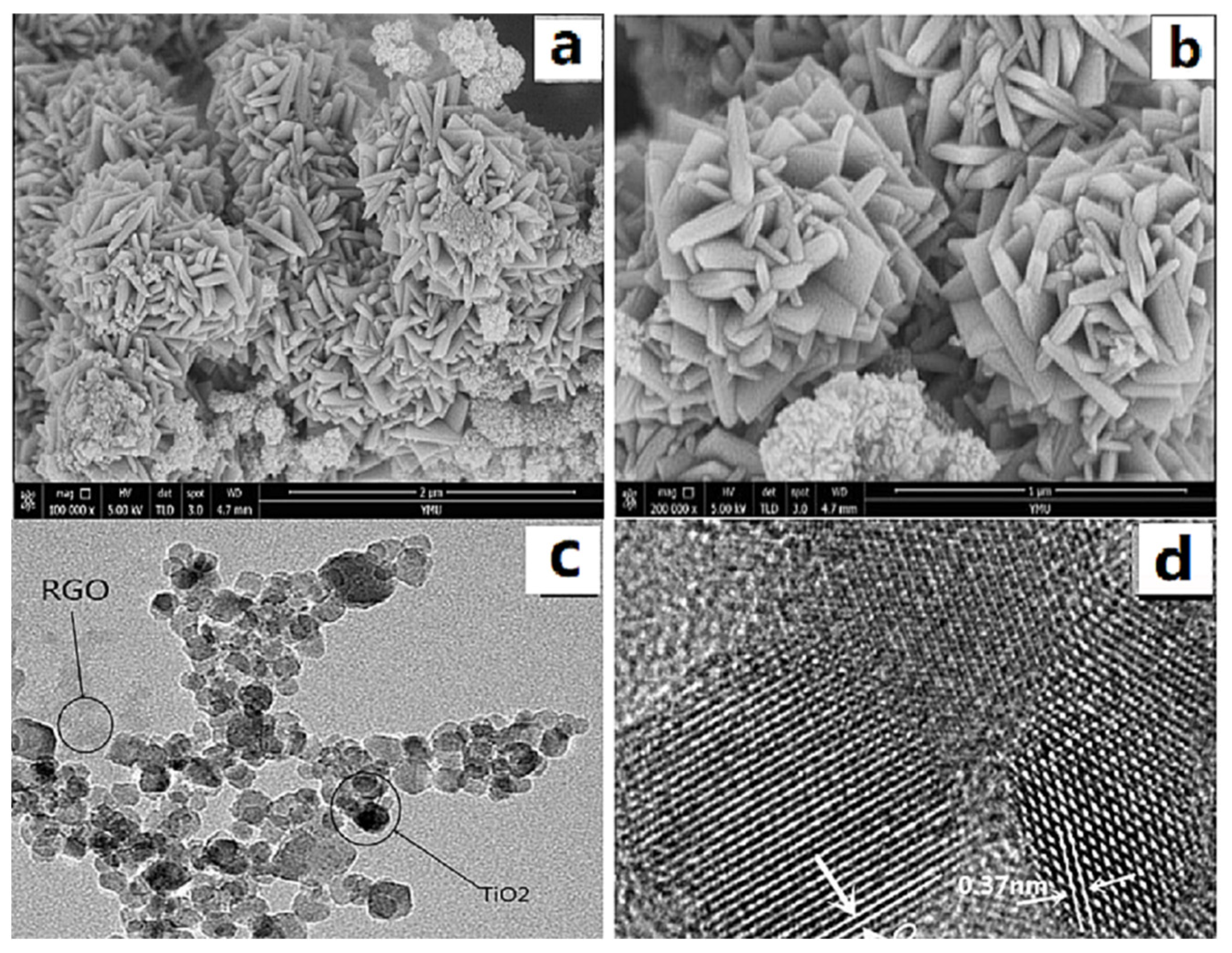 Polymers 14 04622 g002