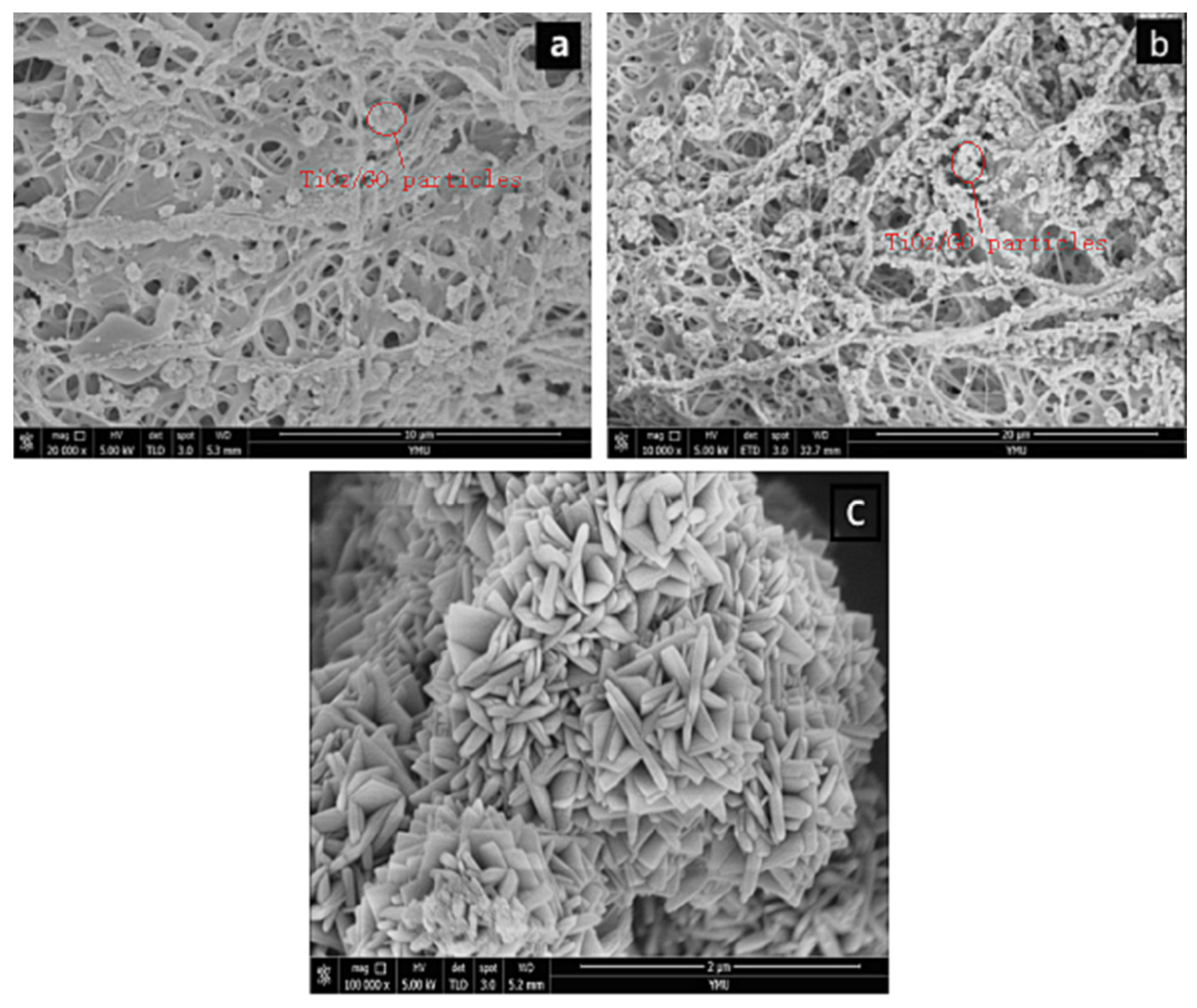 Polymers 14 04622 g004