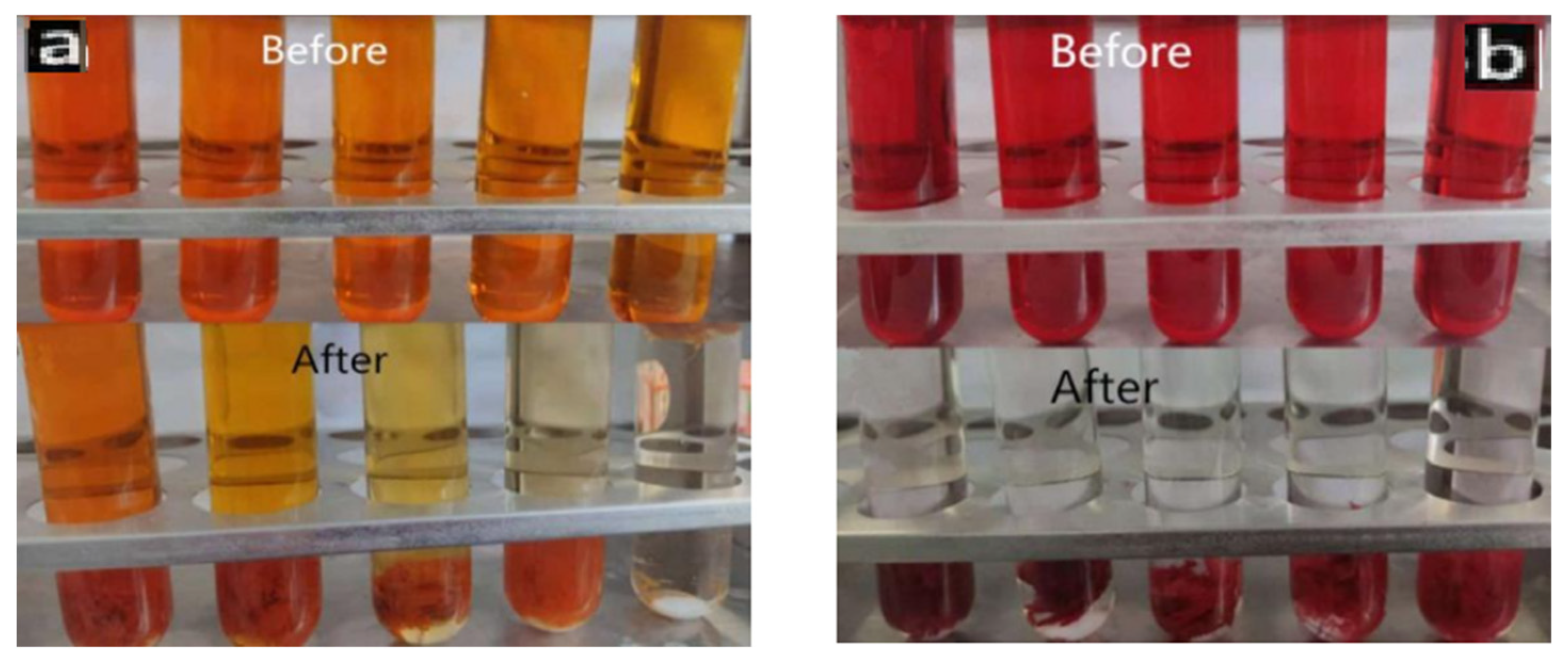 Polymers 14 04622 g011