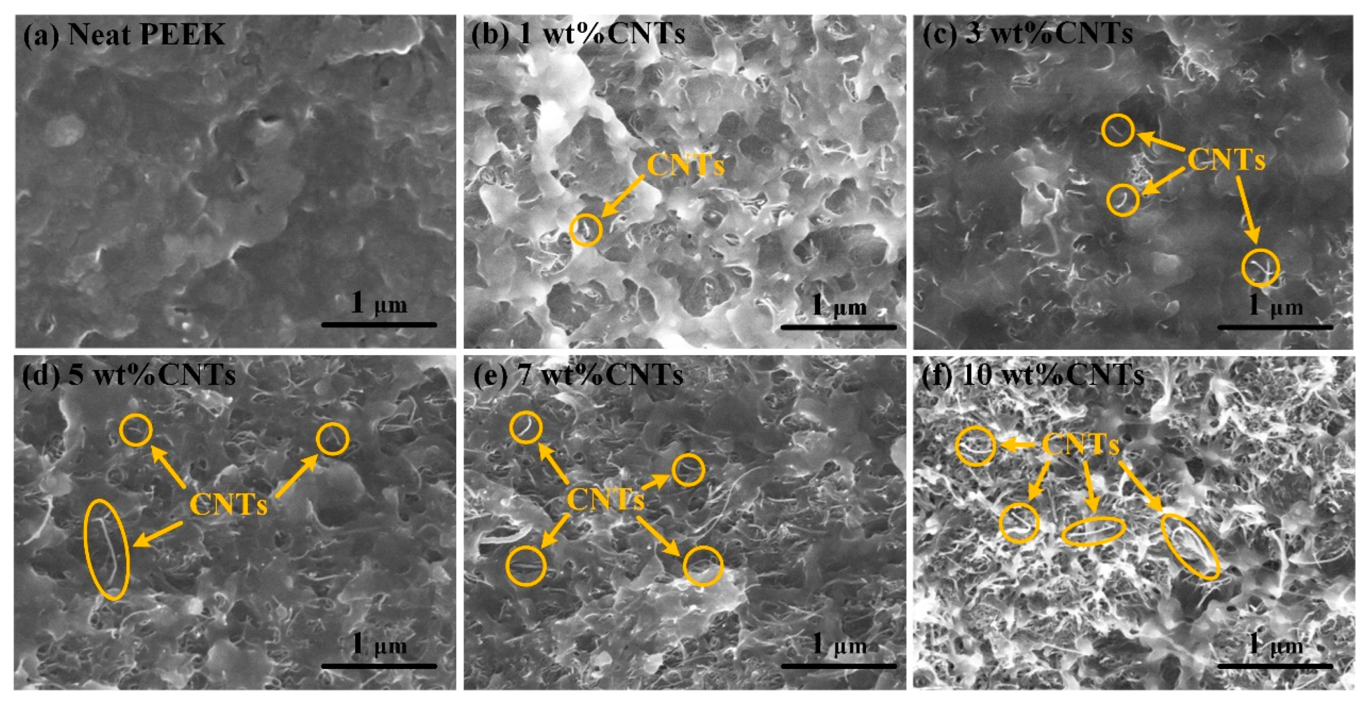 Polymers 14 04623 g003