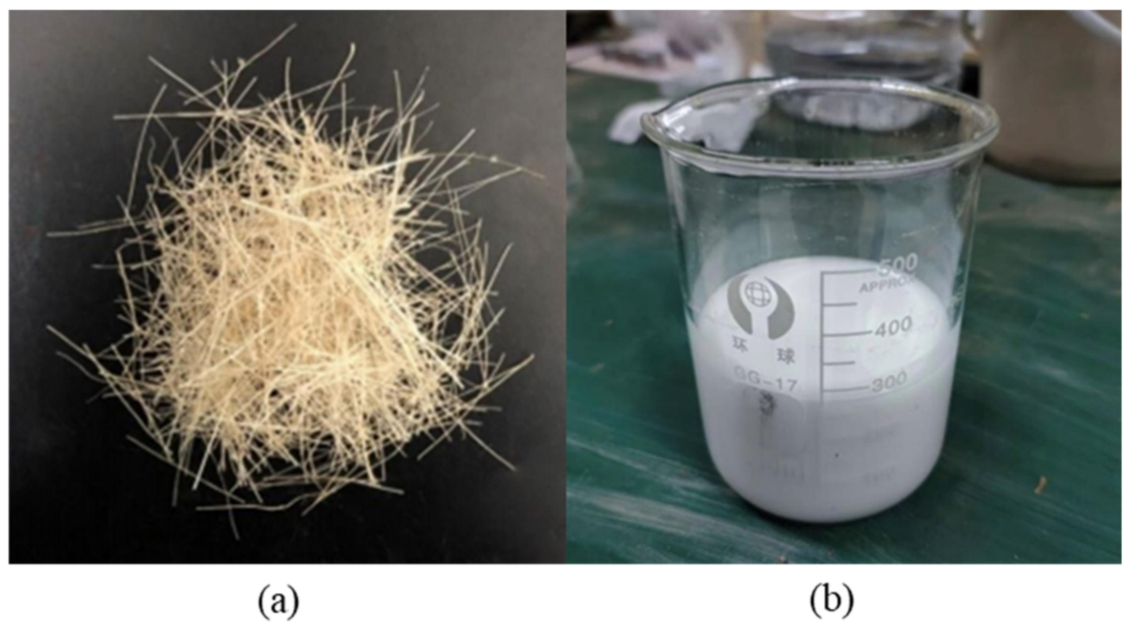 Polymers 14 04626 g002