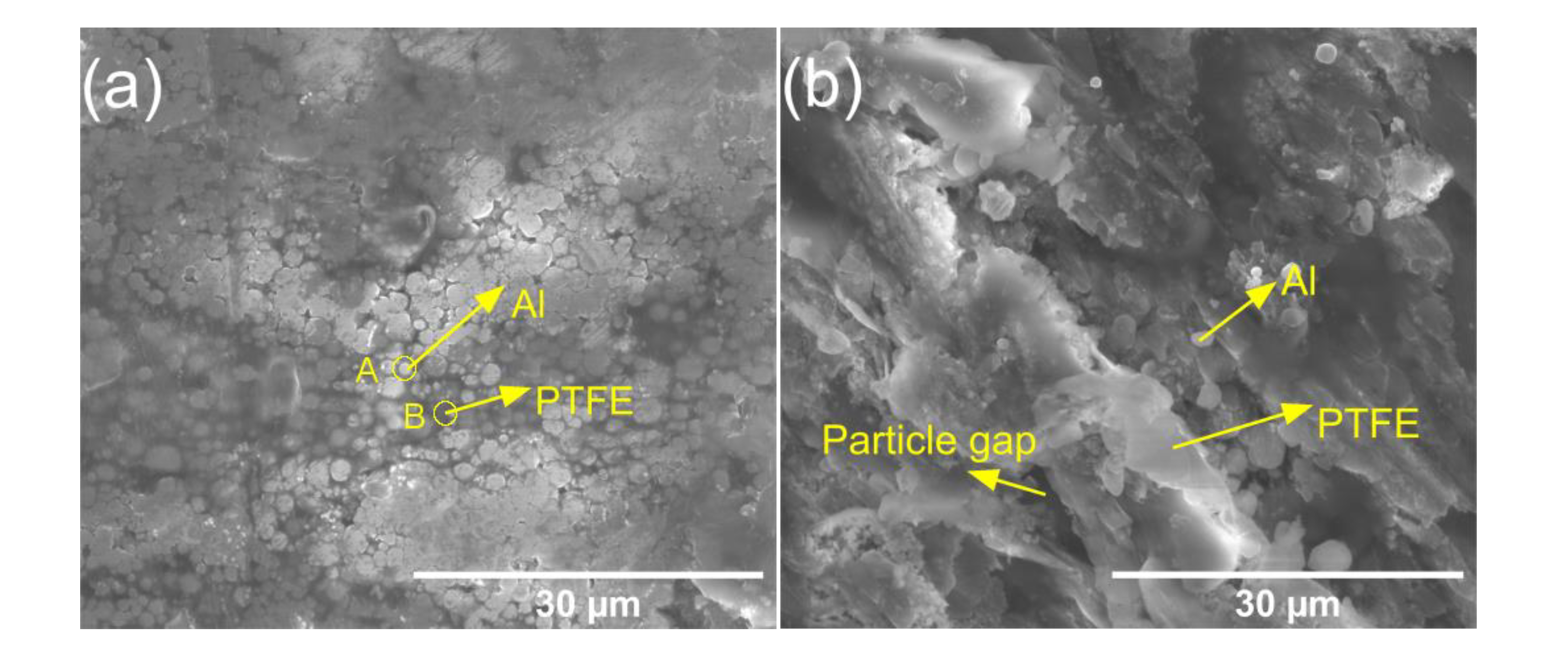 Polymers 14 04629 g003a