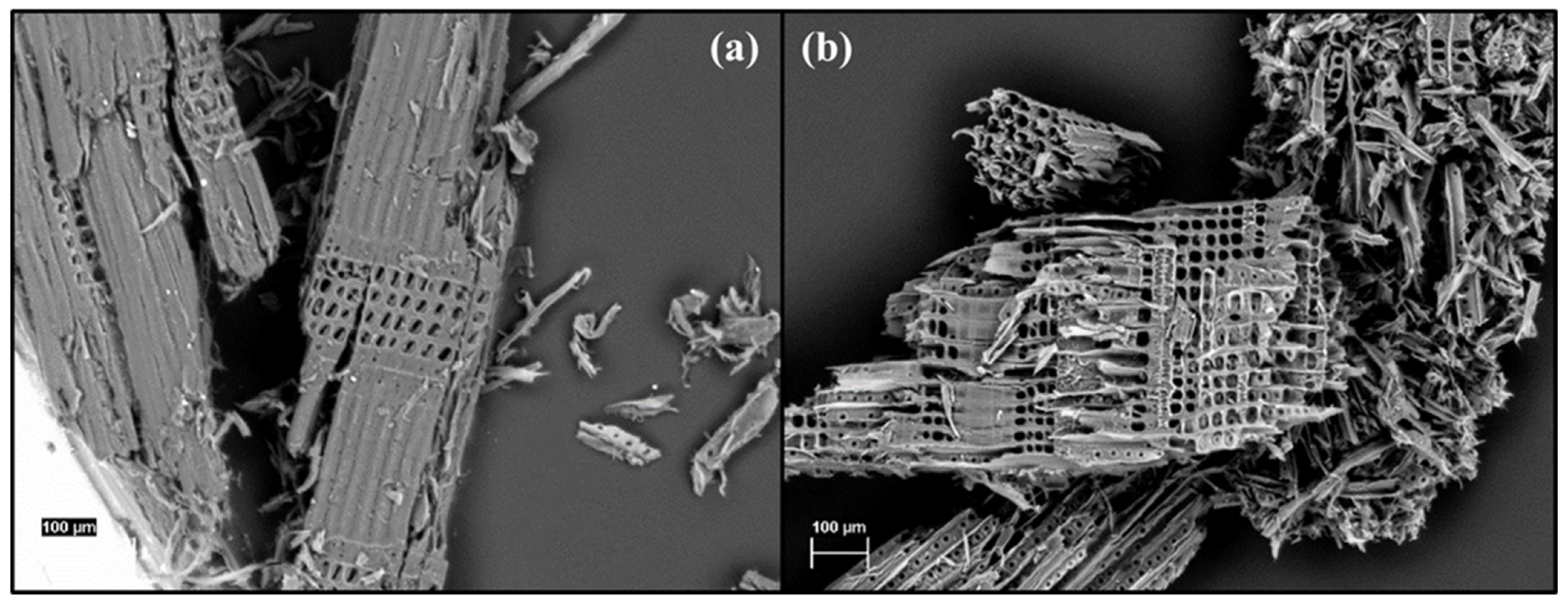 Polymers 14 04637 g003