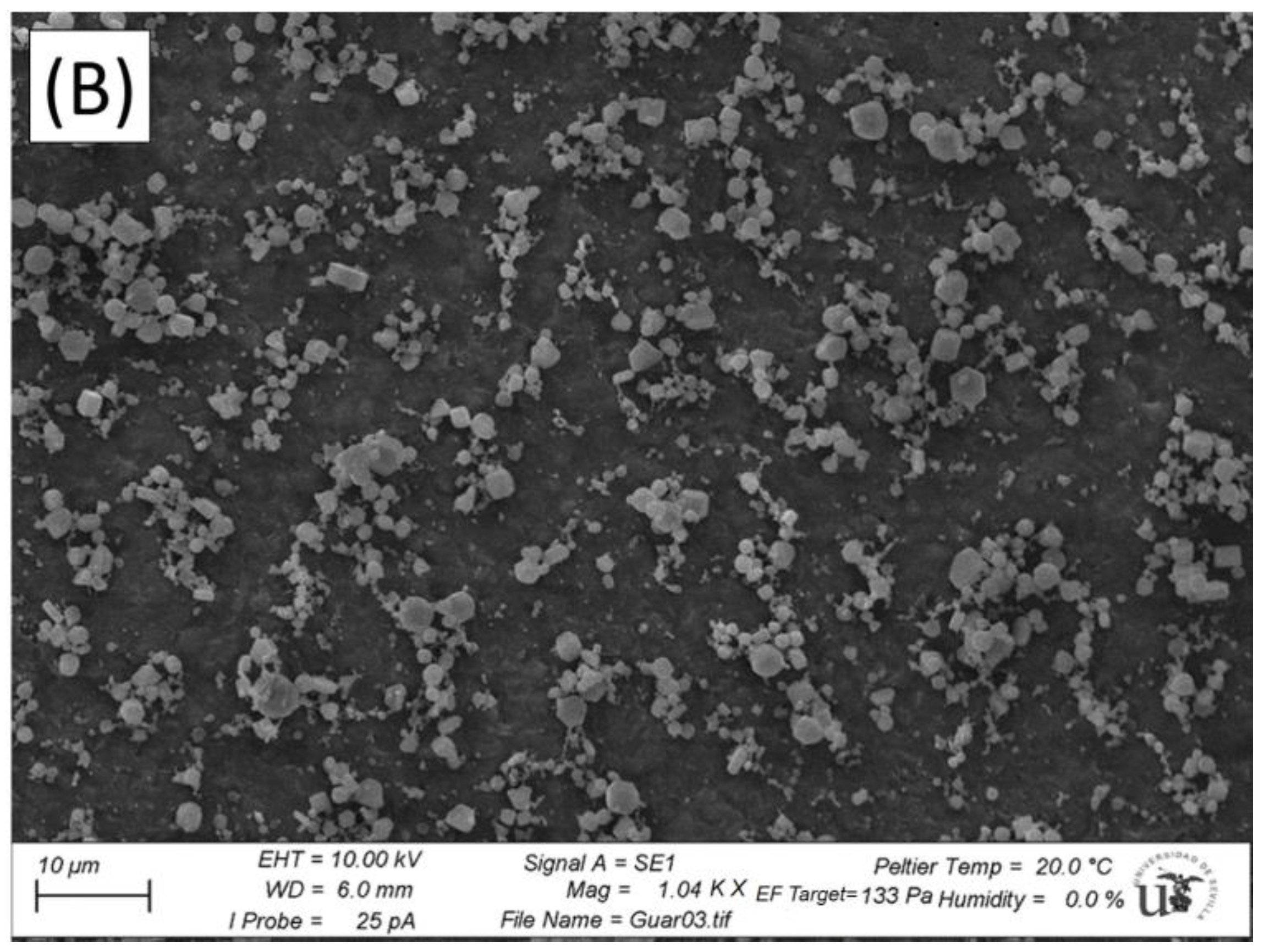 Polymers 14 04640 g006b