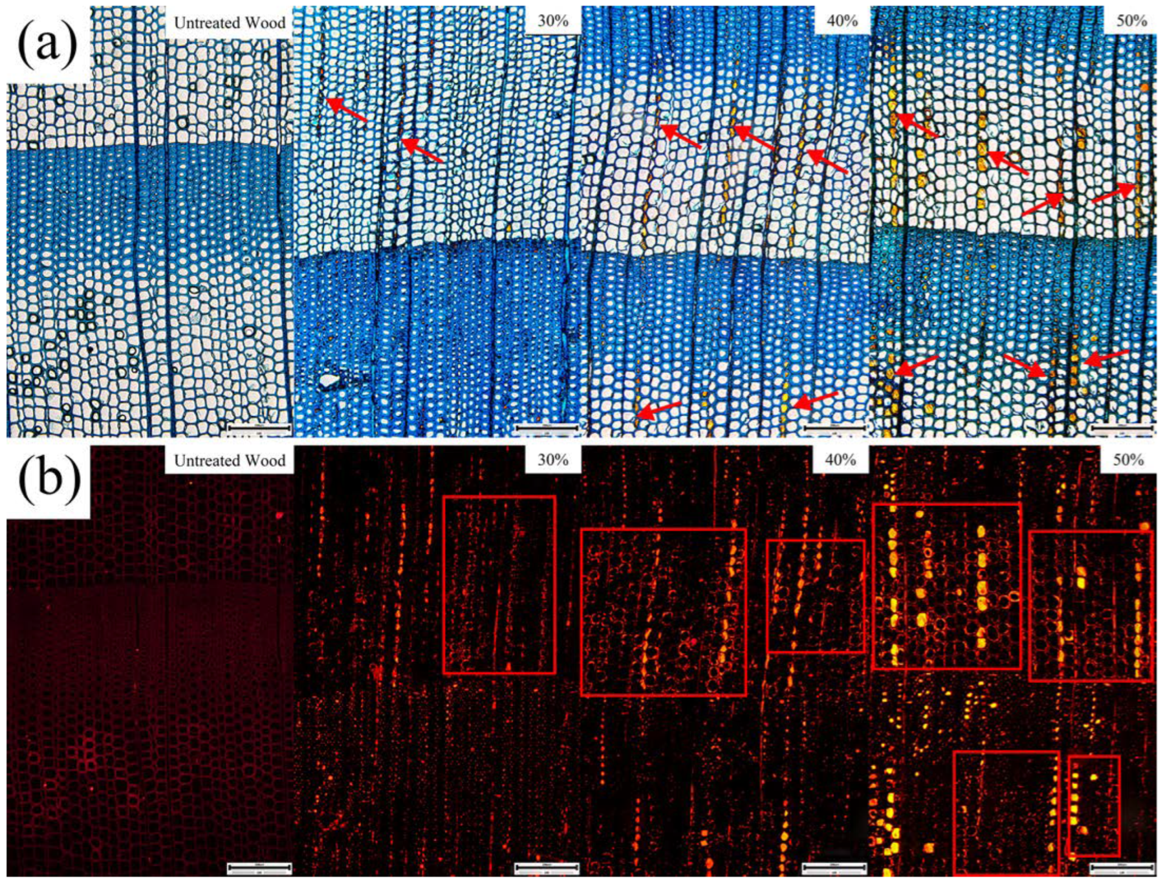 Polymers 14 04641 g003 Polymers 14 04641 g003
