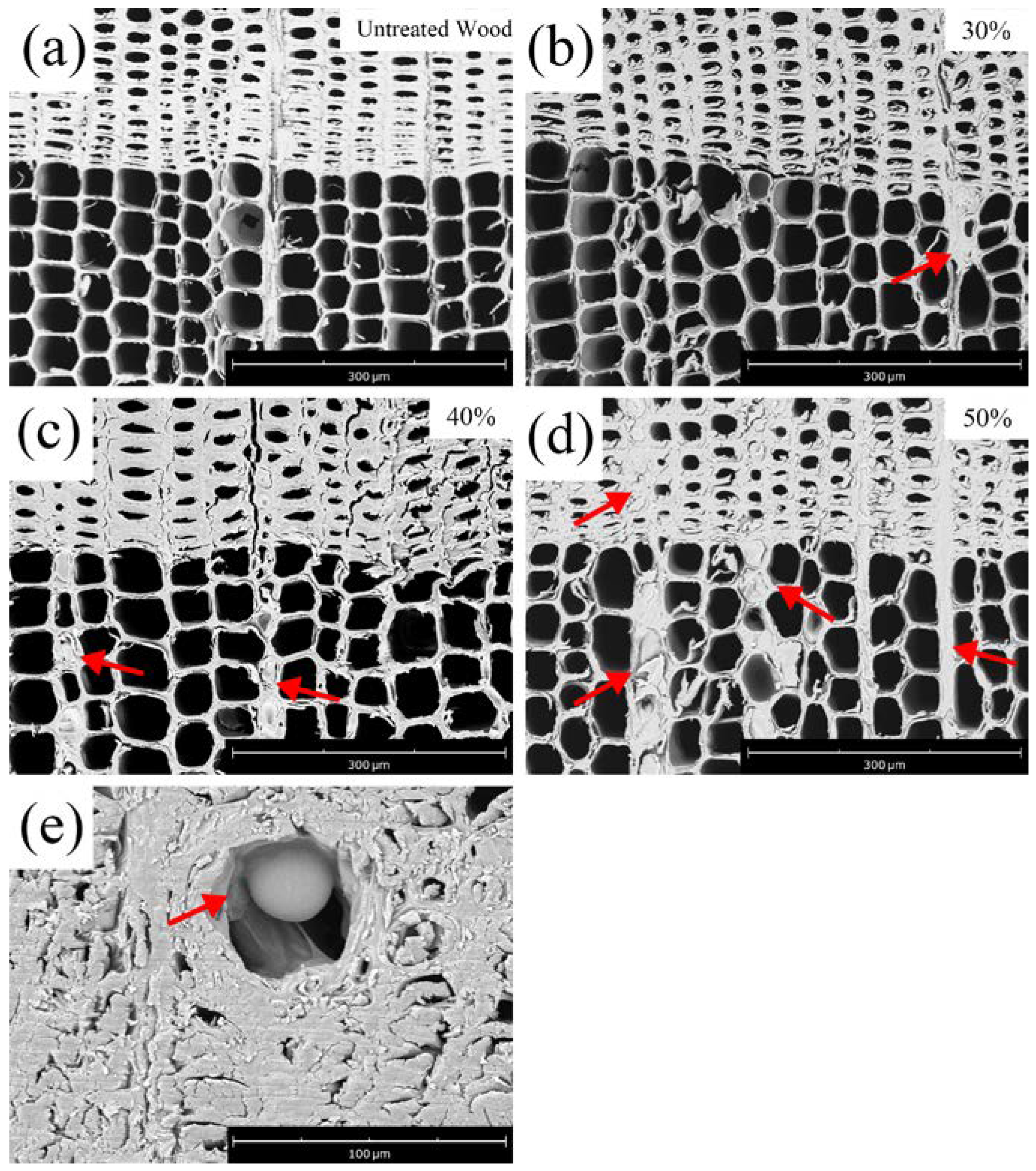 Polymers 14 04641 g004 Polymers 14 04641 g004