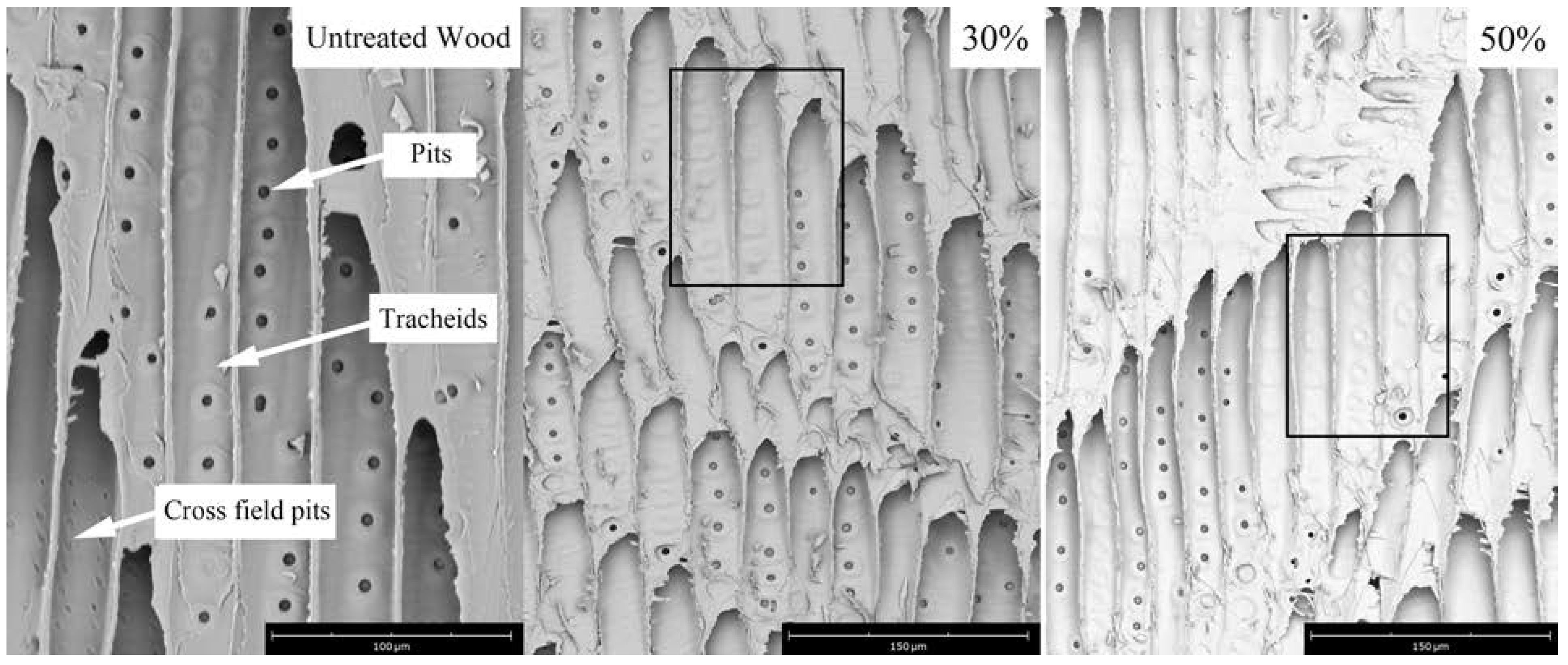 Polymers 14 04641 g006 Polymers 14 04641 g006