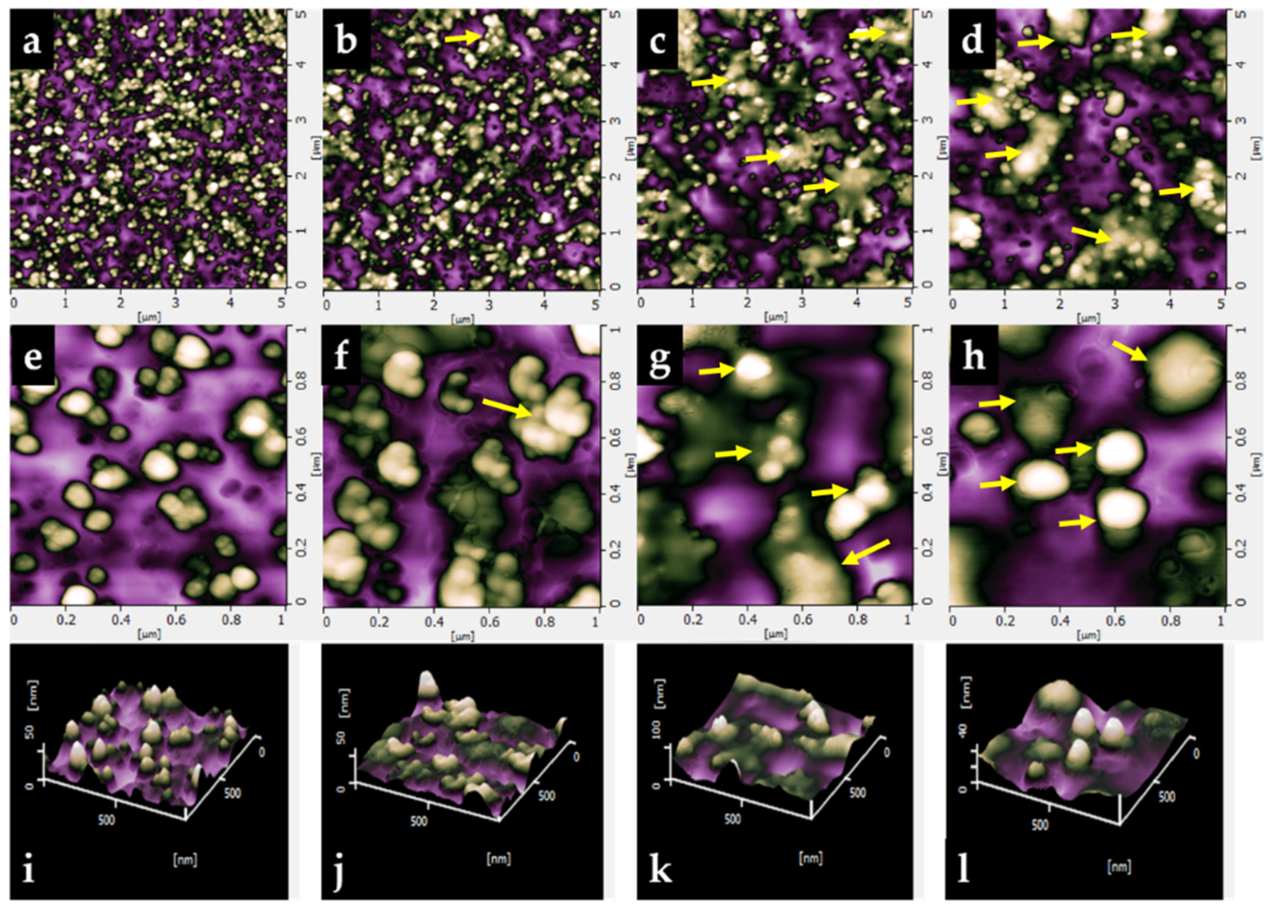 Polymers 14 04642 g001
