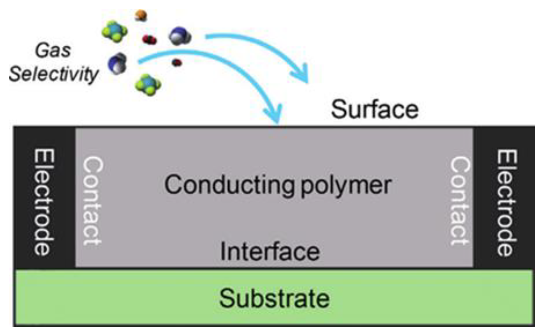 Polymers 14 04643 g004