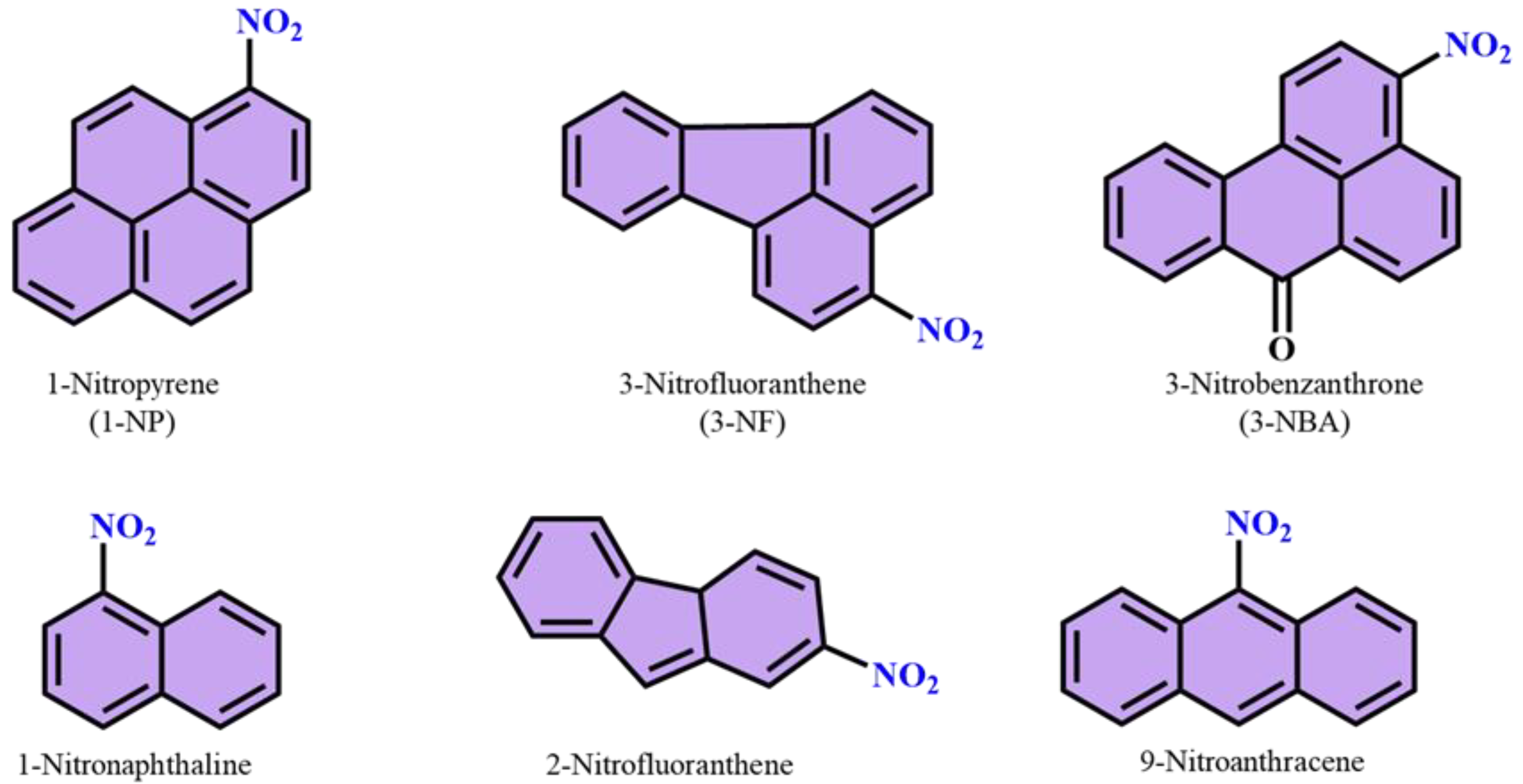 Polymers 14 04643 g013
