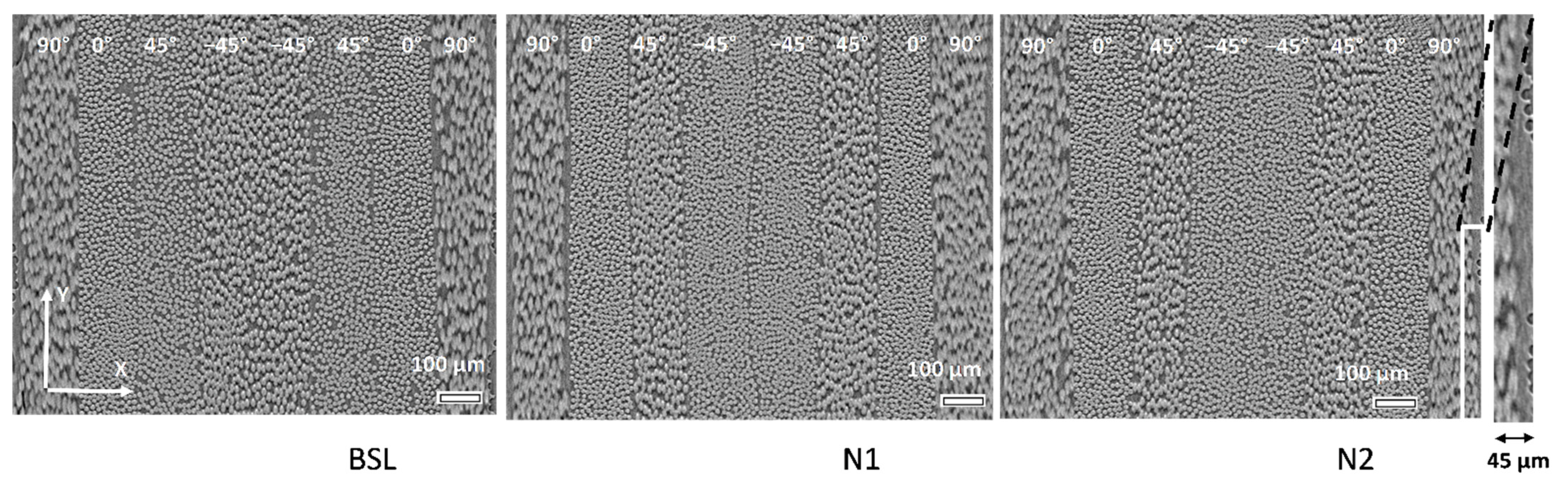 Polymers 14 04644 g002
