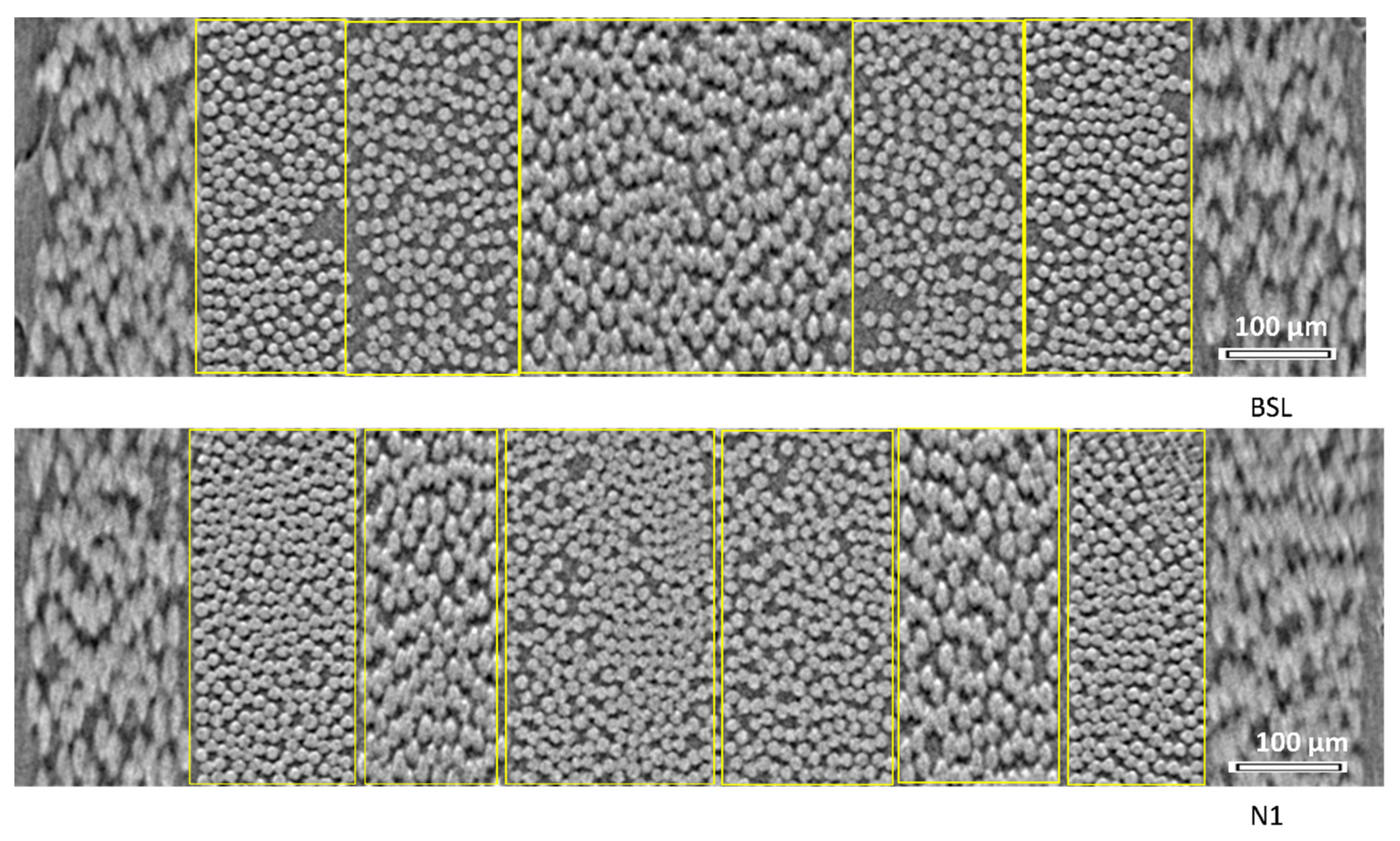 Polymers 14 04644 g003