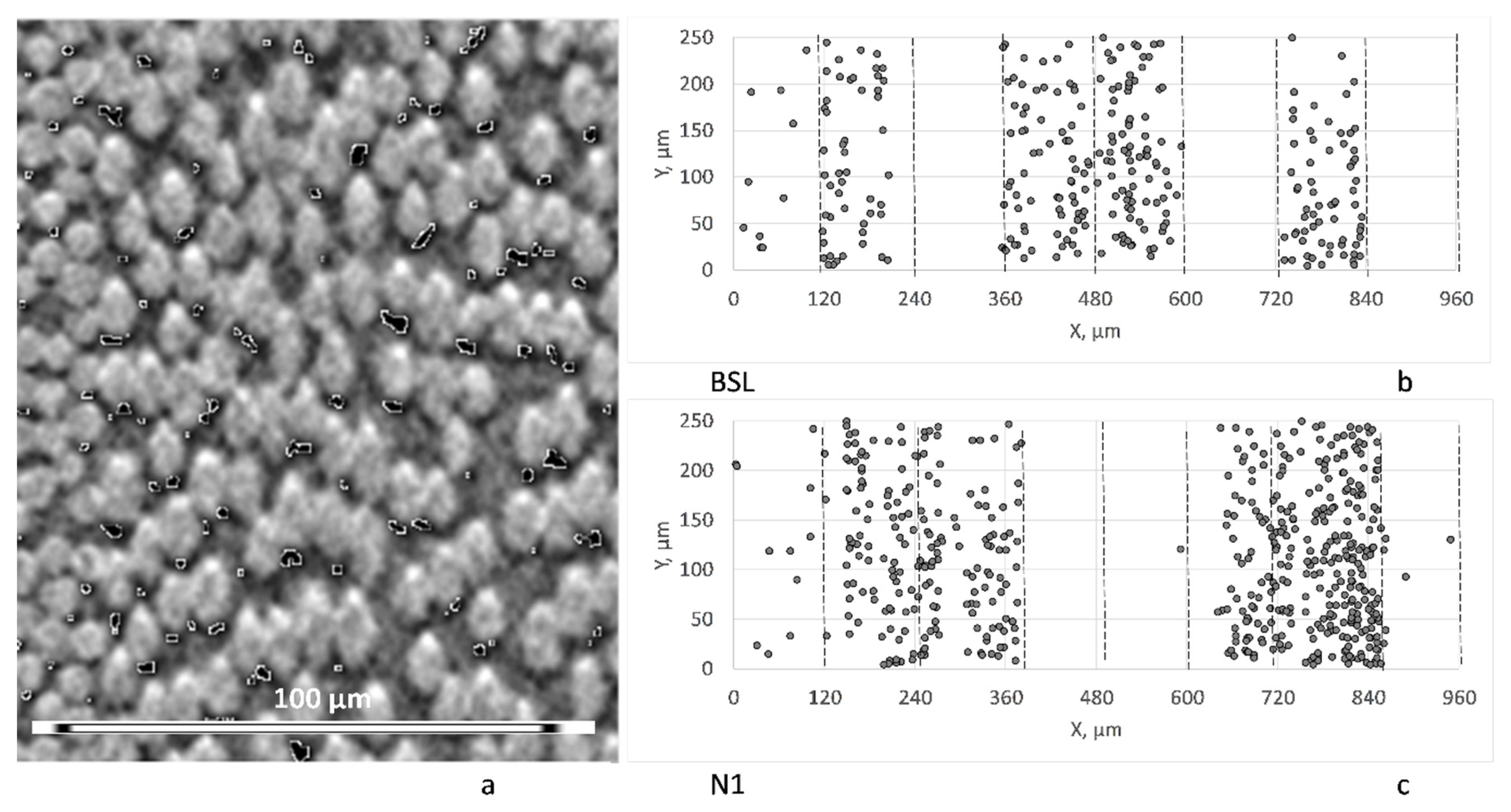 Polymers 14 04644 g004